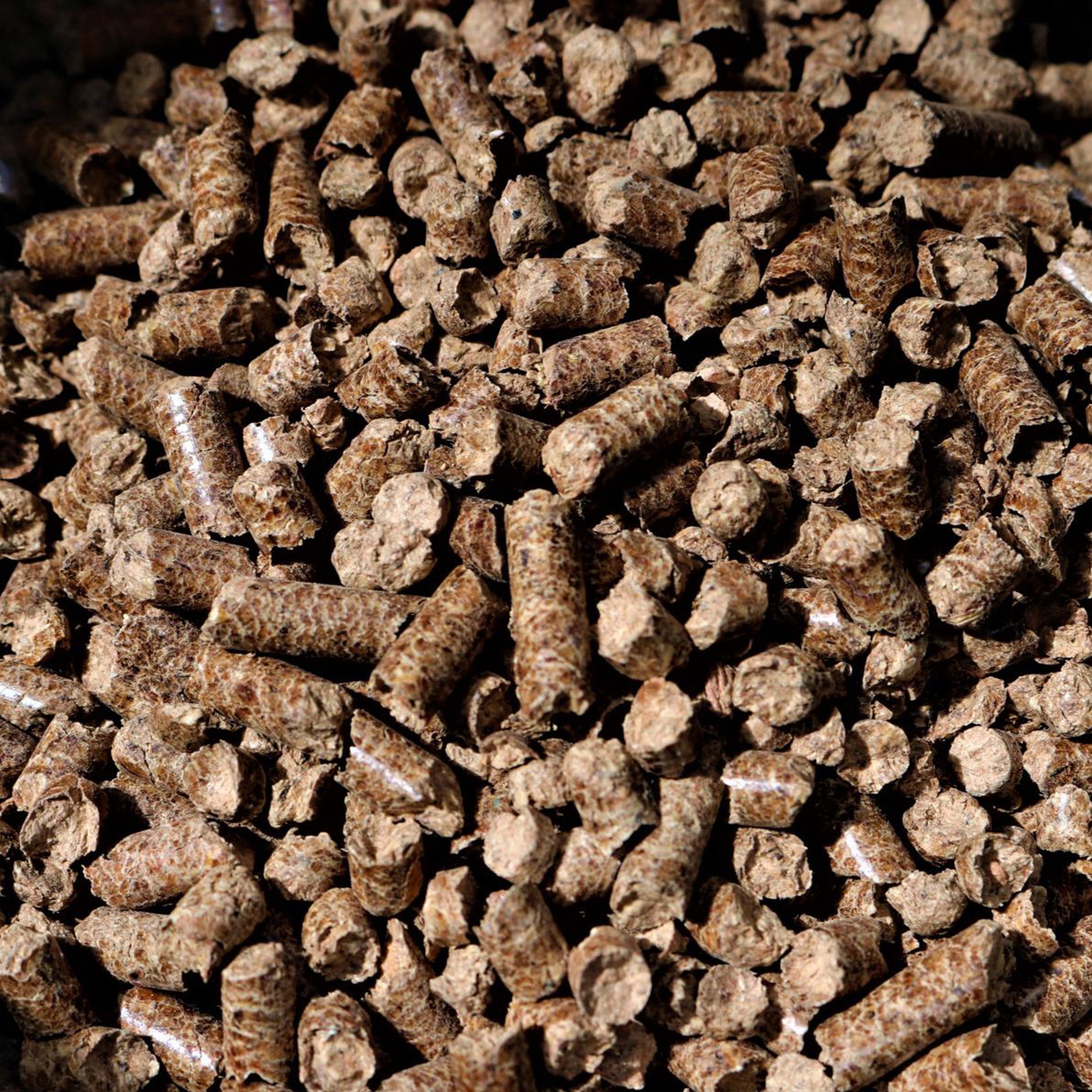 Bear Mountain BBQ 100% Natural Hardwood Alder Flavor Pellets, 20lbs (Open Box)