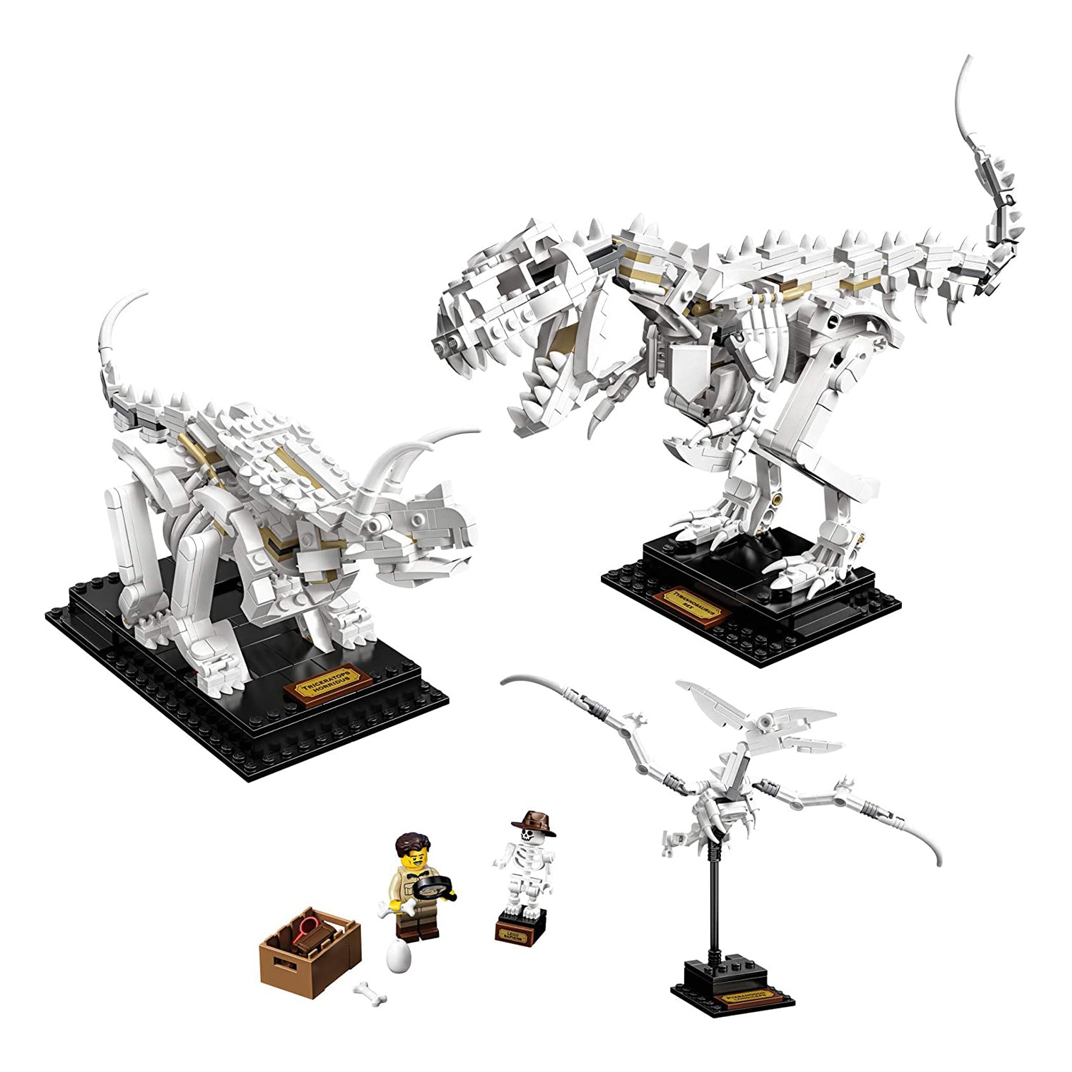 LEGO Ideas 21320 Dinosaur Fossils 1:32 Scale Toy Model Building Kit (910 Pieces)