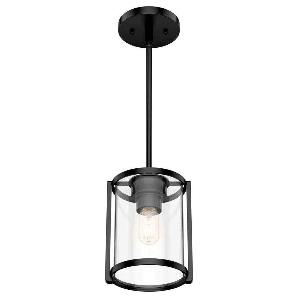 Hunter Fan Company Astwood 1 Bulb Mini Hanging Pendant Light Fixture, Black