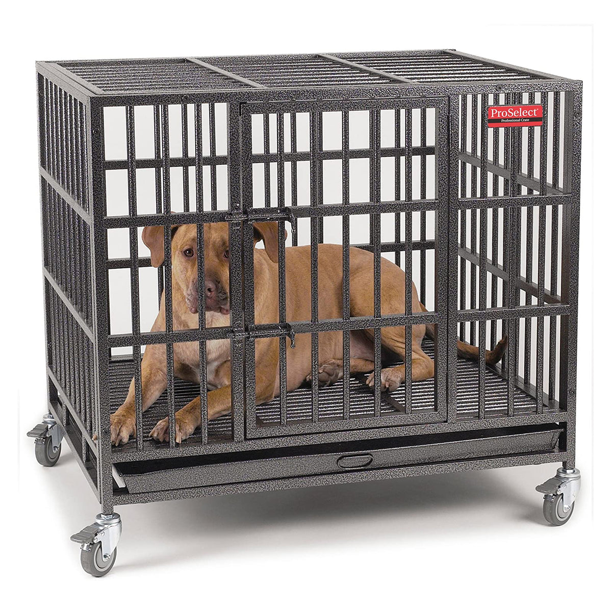 ProSelect Empire Steel Cage for Large Dogs with Tray and Wheels, Black (Used)