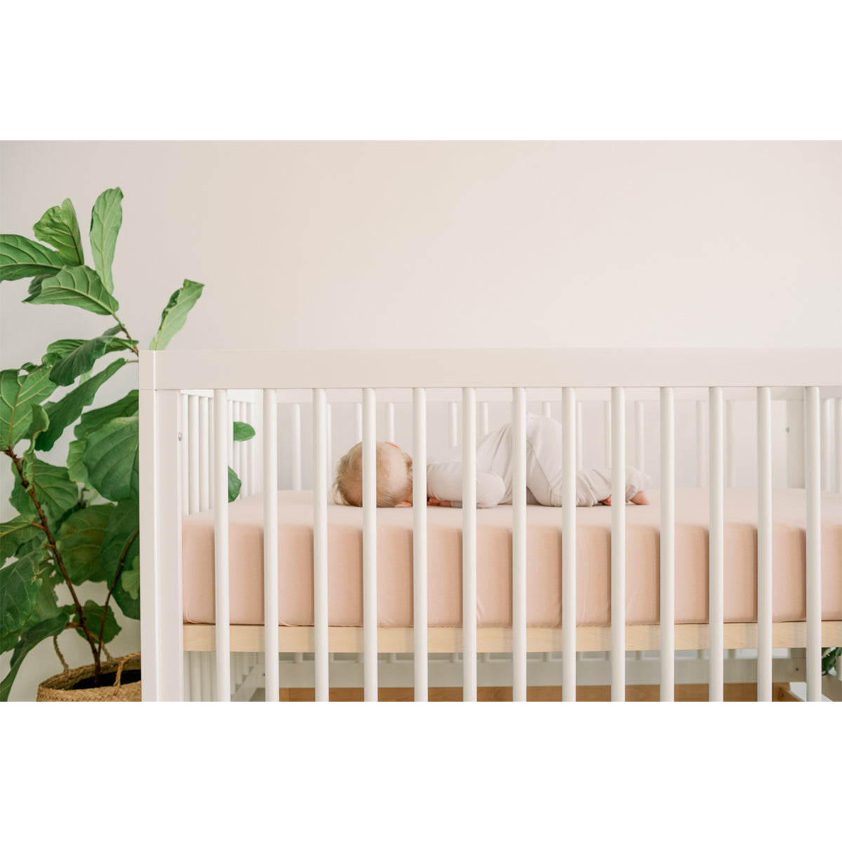 Goumikids Soft Organic Cotton Fitted Baby Crib Sheet, Abstract Flowers and Rose - VMInnovations