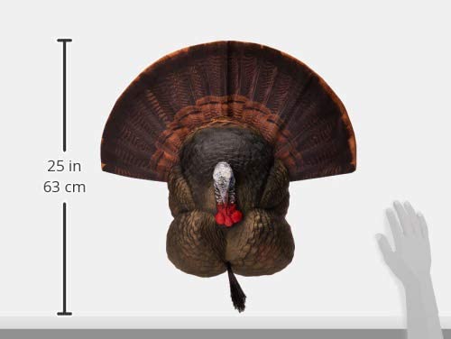 Flextone FLXDY316 Thunder Creeper Scaled Portable Strutting Turkey Hunting Decoy
