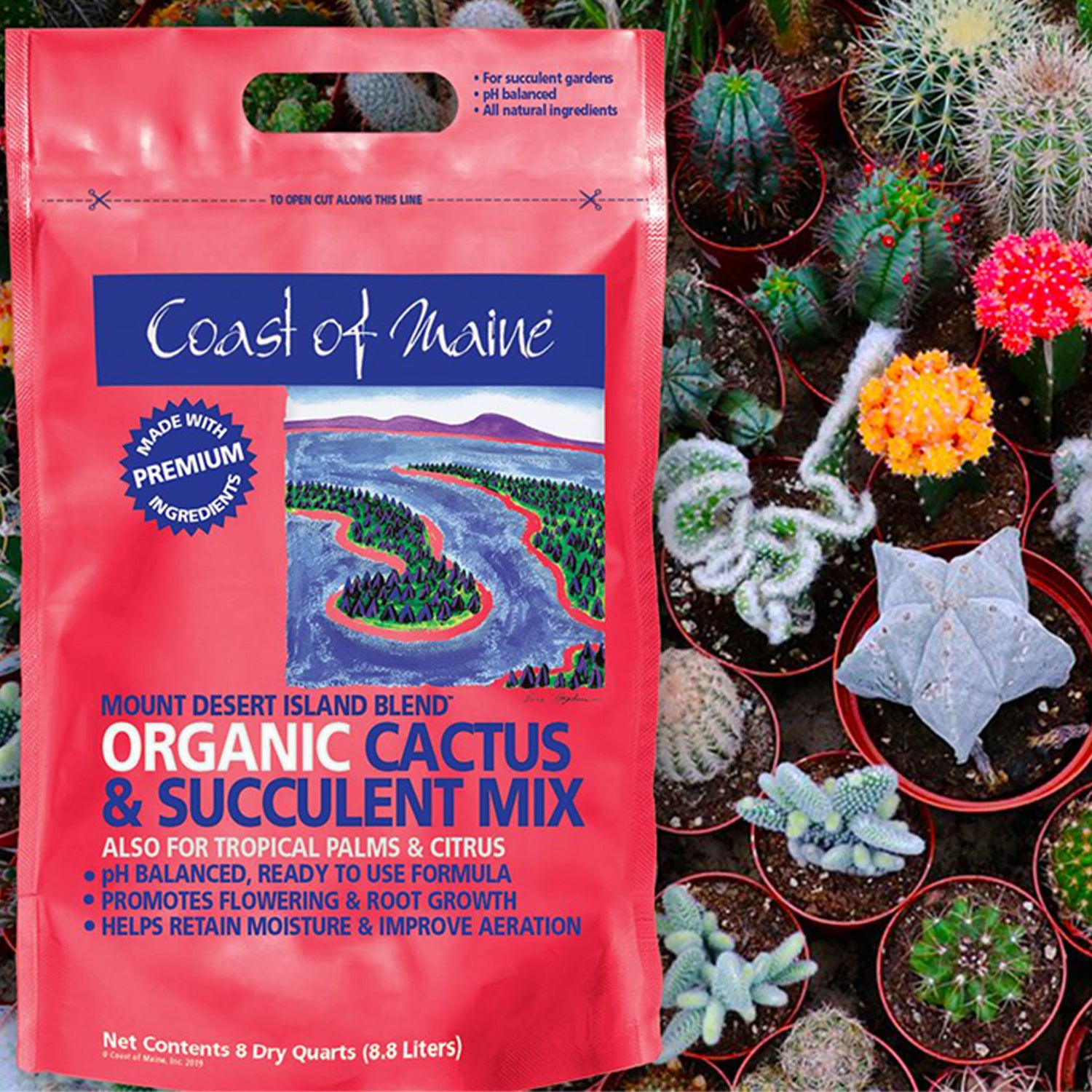 Coast of Maine Mount Desert Organic Cactus Succulent Mix, 8 Quarts (2 Pack) - VMInnovations