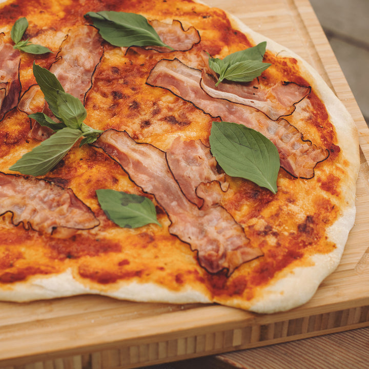 Razor Griddle GGT2160M 19 Inch Portable 1 Burner LP Propane Gas Grill, Steel - VMInnovations