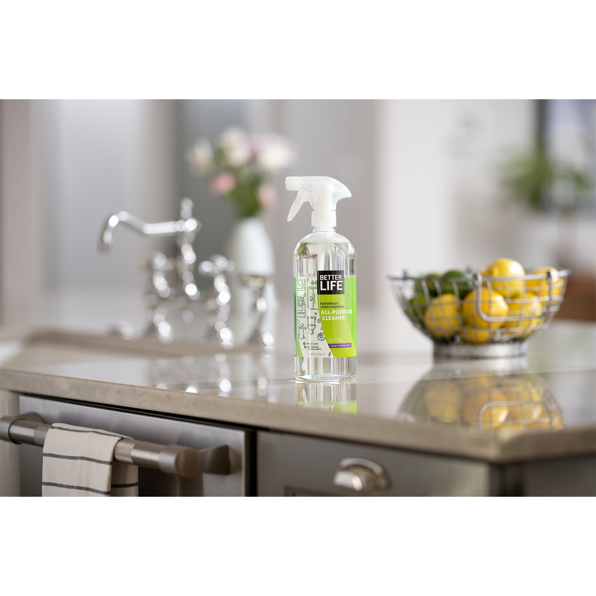 Better Life Naturally Filth Fighting All Purpose Cleaner w/ 5 Set Cleaning Kit