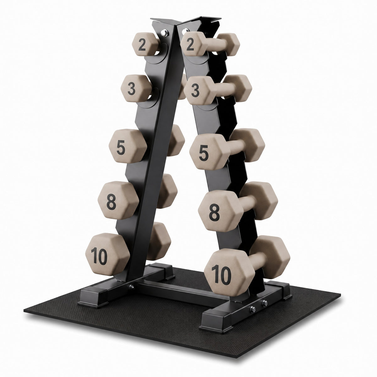 Aurorafy Neoprene Dumbbell Workout Set with Rack, 2, 3, 5, 8, & 10lbs, Beige