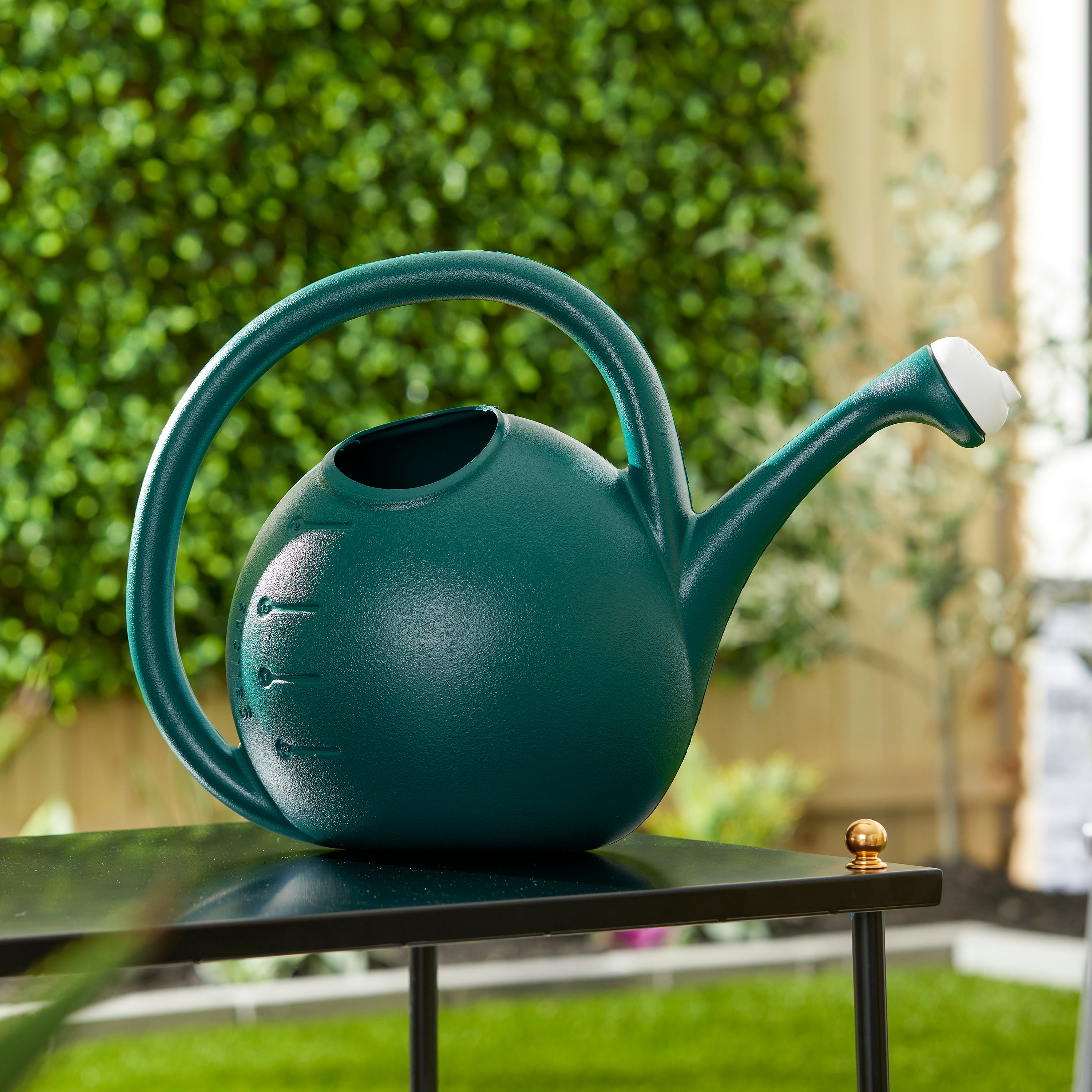 HC Companies 2 Gallon Premium Large Mouth Garden Plant Watering Can, Evergreen