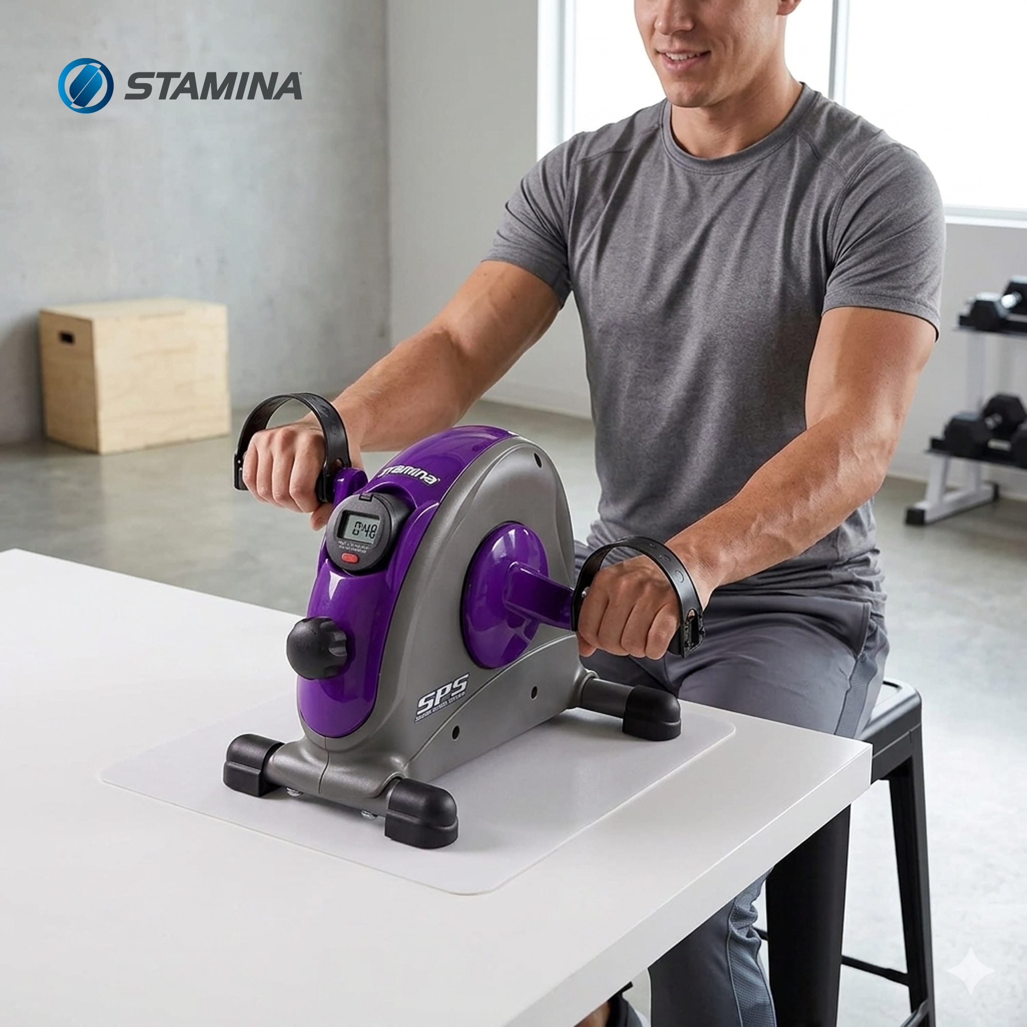 Stamina Products Mini Stationary Under Desk Exercise Bike Home/Office, Purple - VMInnovations