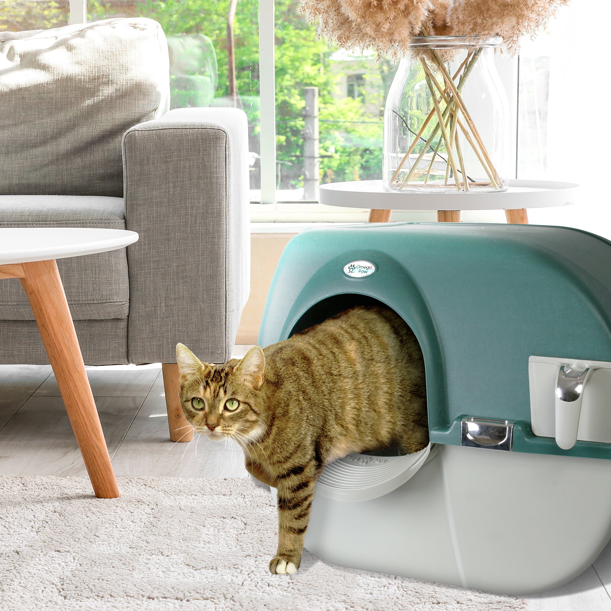 Omega Paw Roll N Clean Self Cleaning Enclosed Cat Litter Box, Green (Used) - VMInnovations