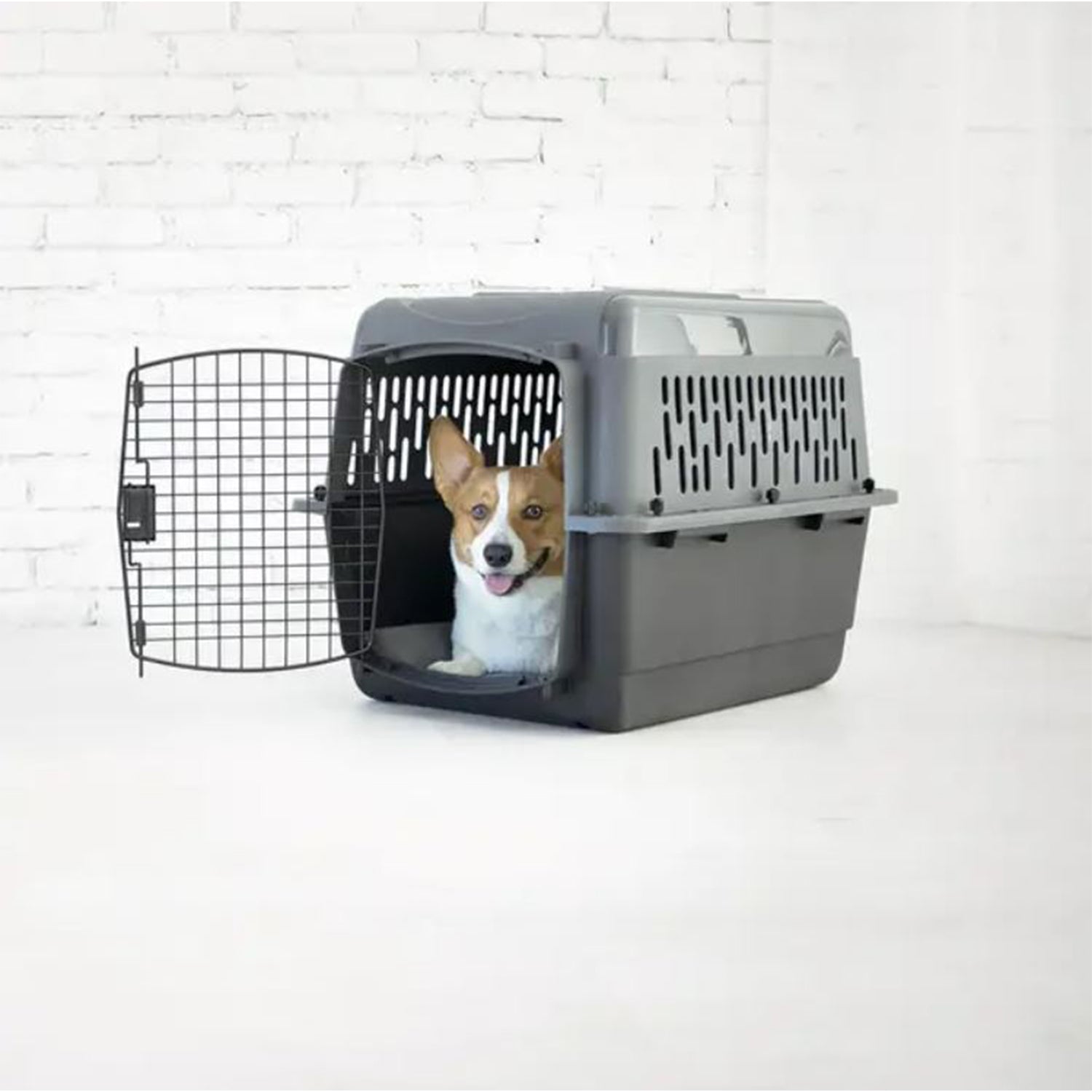 Aspen Pet Porter 26 Inch Hard Sided Travel Crate Carrier Kennel, Black and Gray