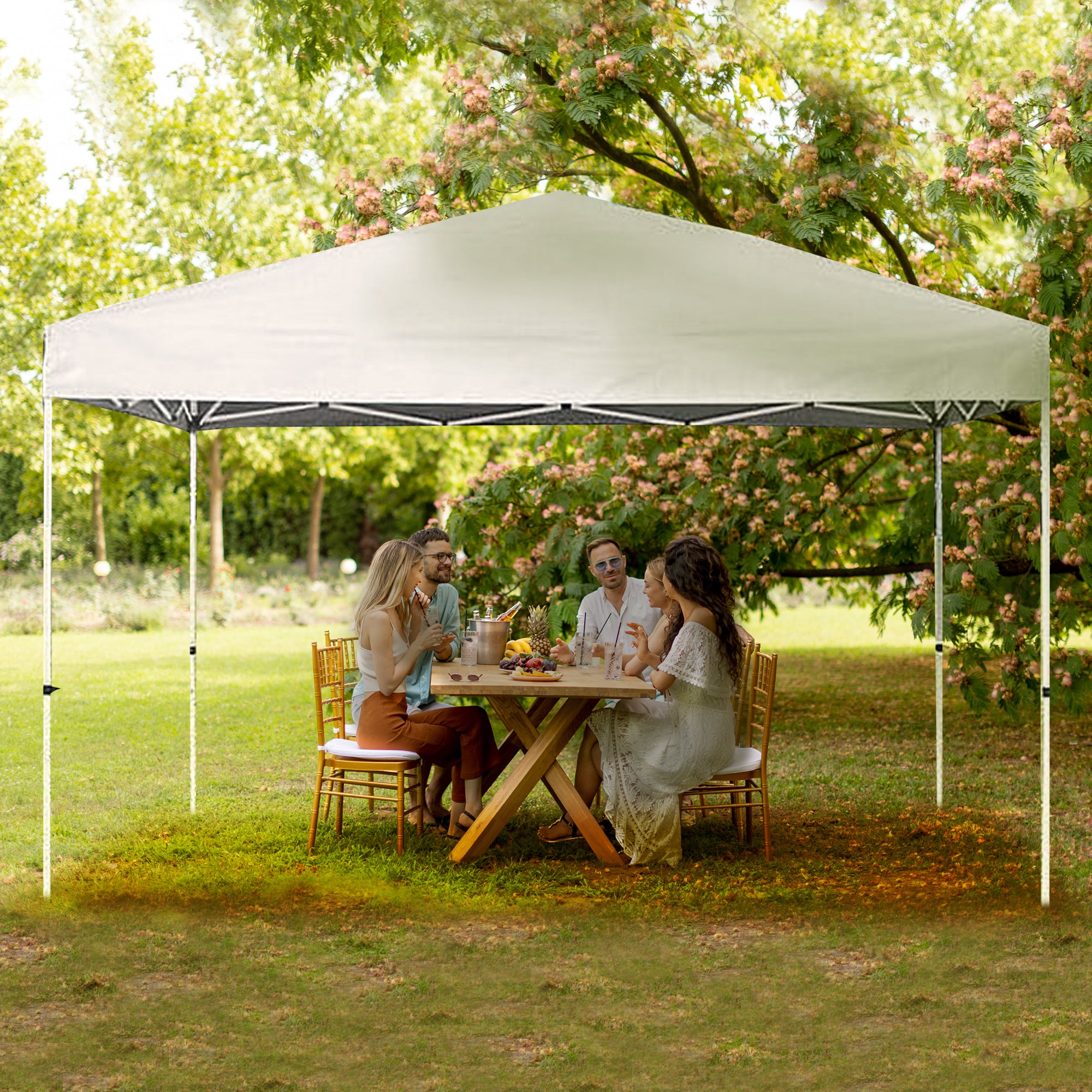 Caravan Canopy V Series 12 by 12 Foot Shade Instant Canopy Kit, White (Used)