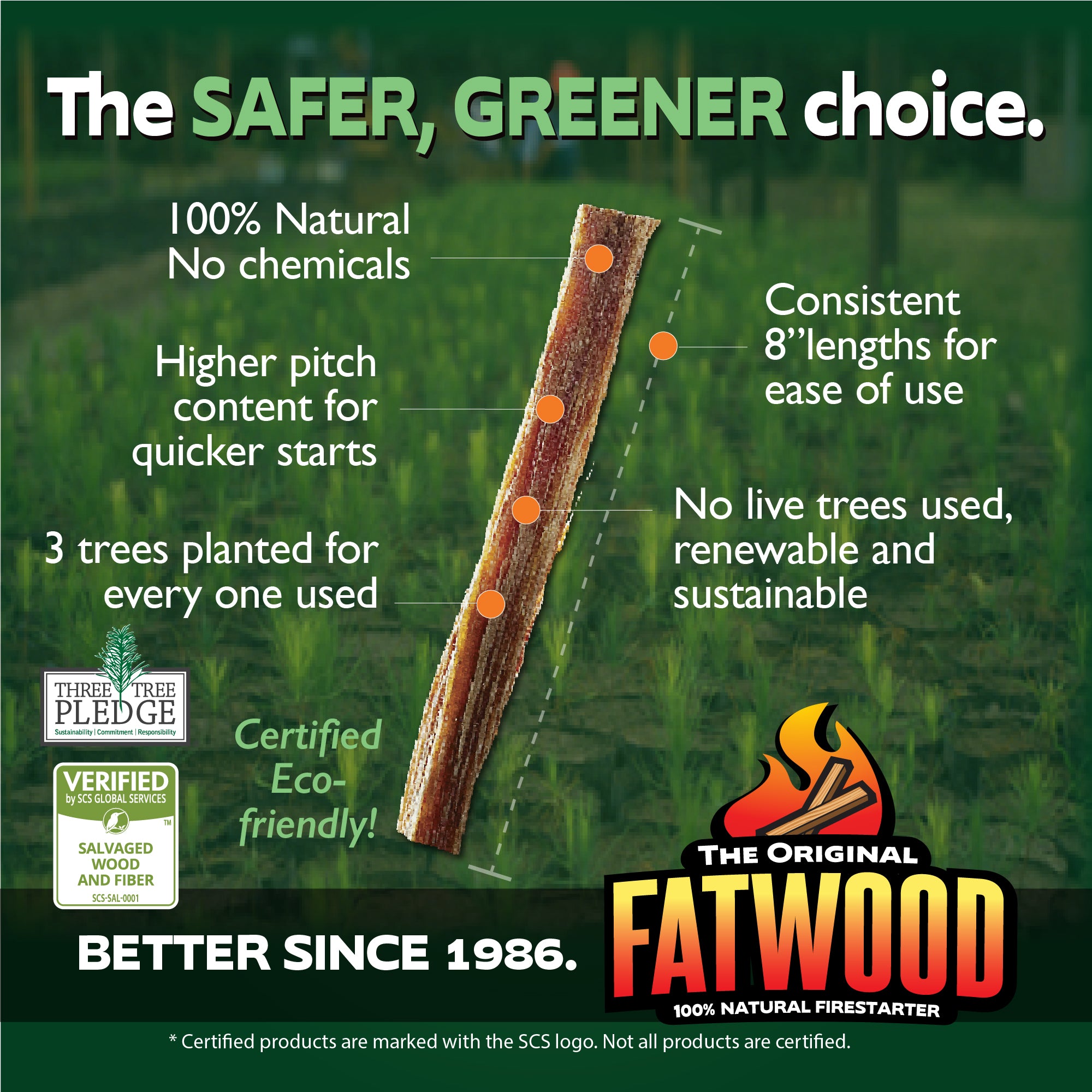 Better Wood Products Protect the Park Fatwood Firestarter Sticks (Used)