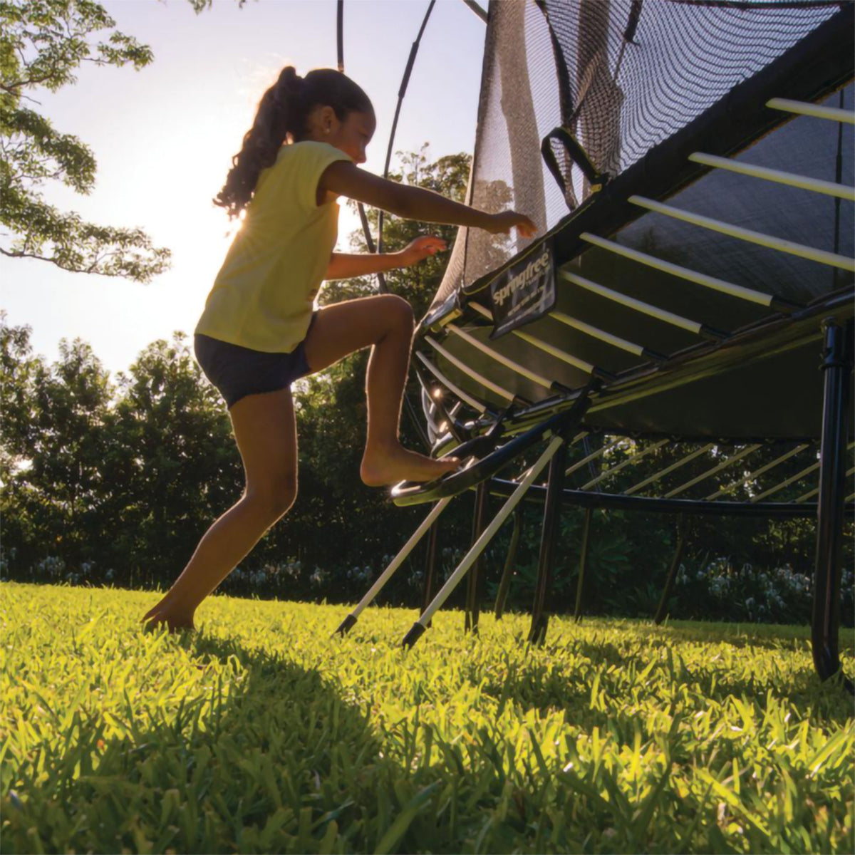 Springfree Trampoline Basketball Game FlexrHoop Accessory & FlexrStep V2 Ladder