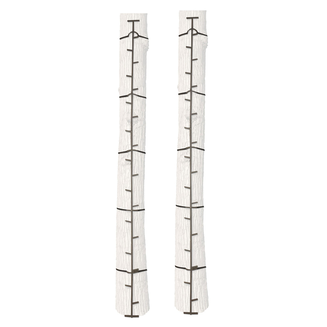 Big Game Hunting Quick Stick Steel Ladder Tree Climbing System, 20 Foot (2 Pack)