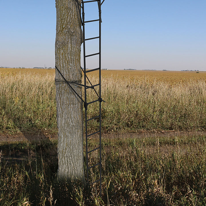 Big Game Guardian DXT Portable 2 Hunter Tree Ladder Stand, 18 Foot (2 Pack) - VMInnovations