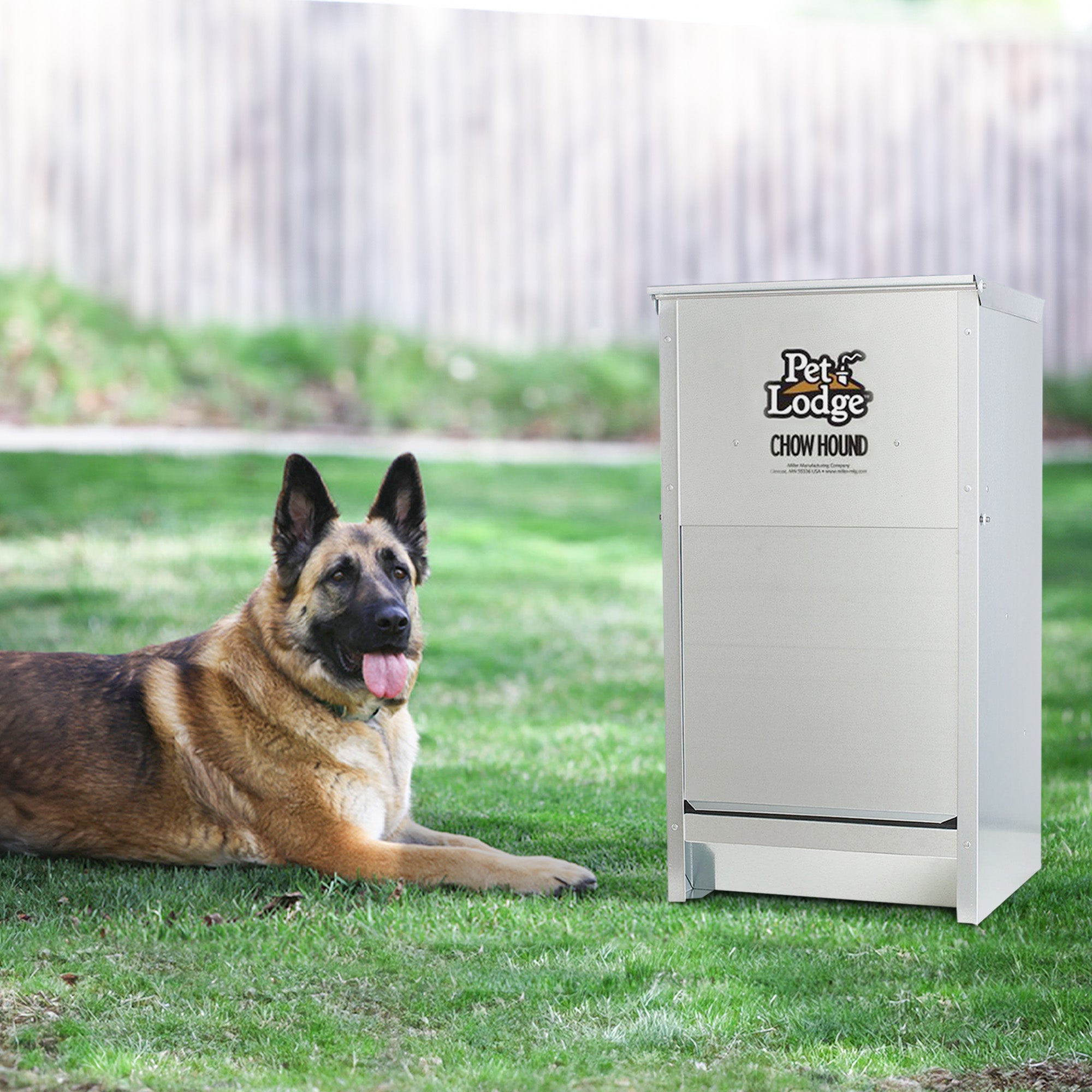 Little Giant Dry Food Automatic Steel Dog Feeder Chow Hound 25 Pounds (4 Pack) - VMInnovations