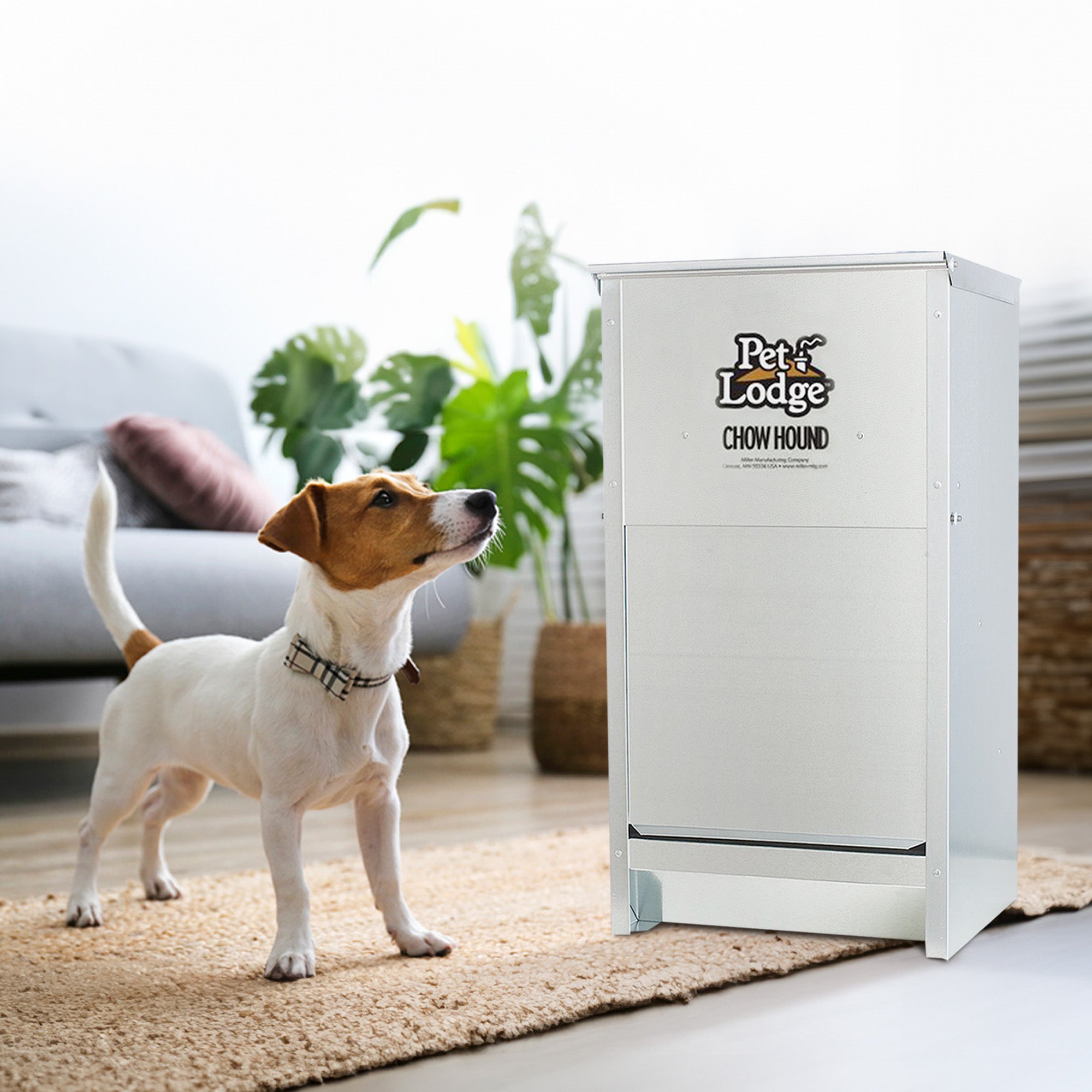 Little Giant Dry Food Automatic Steel Dog Feeder Chow Hound 25 Pounds (4 Pack) - VMInnovations
