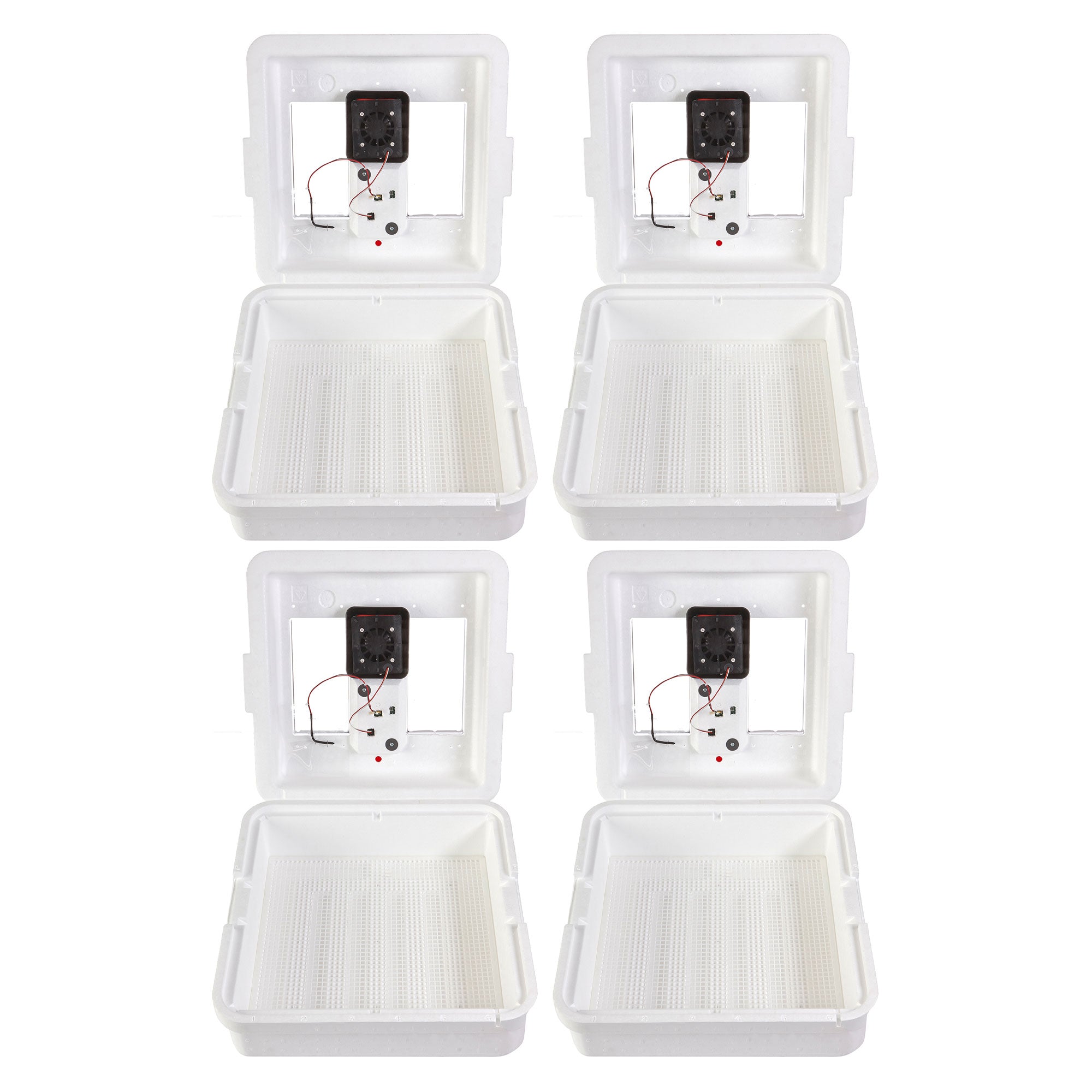 Little Giant 9300 Digital LCD Still Air Incubator for 41 Eggs, White (4 Pack)