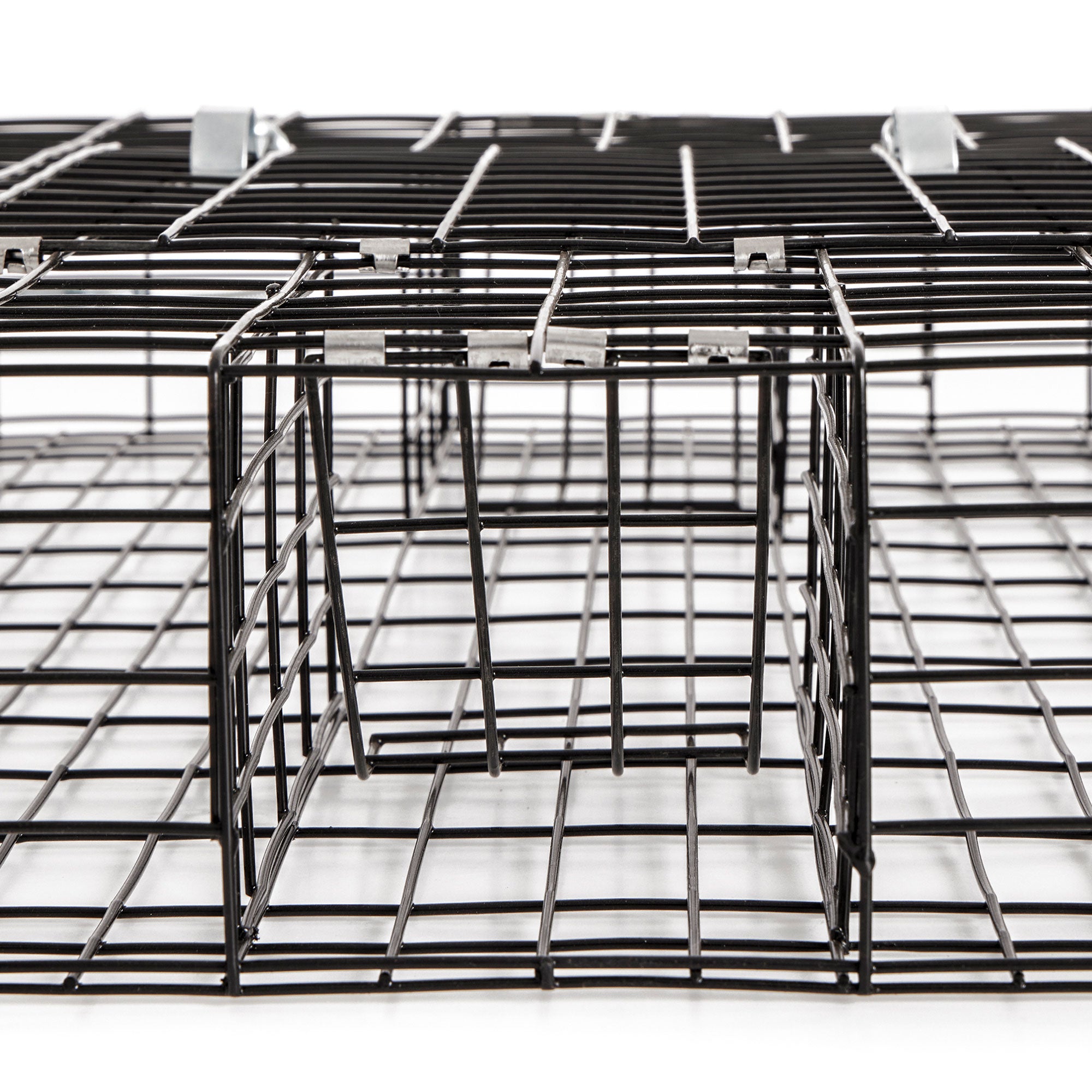 Rugged Ranch SQRTO Squirrelinator Squirrel 2 Door Trap Cage (2 Pack) - VMInnovations