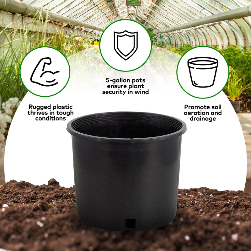 Pro Cal 5 Gallon Premium Nursery Black Plastic Planter Garden Grow Pots, 5 Pack