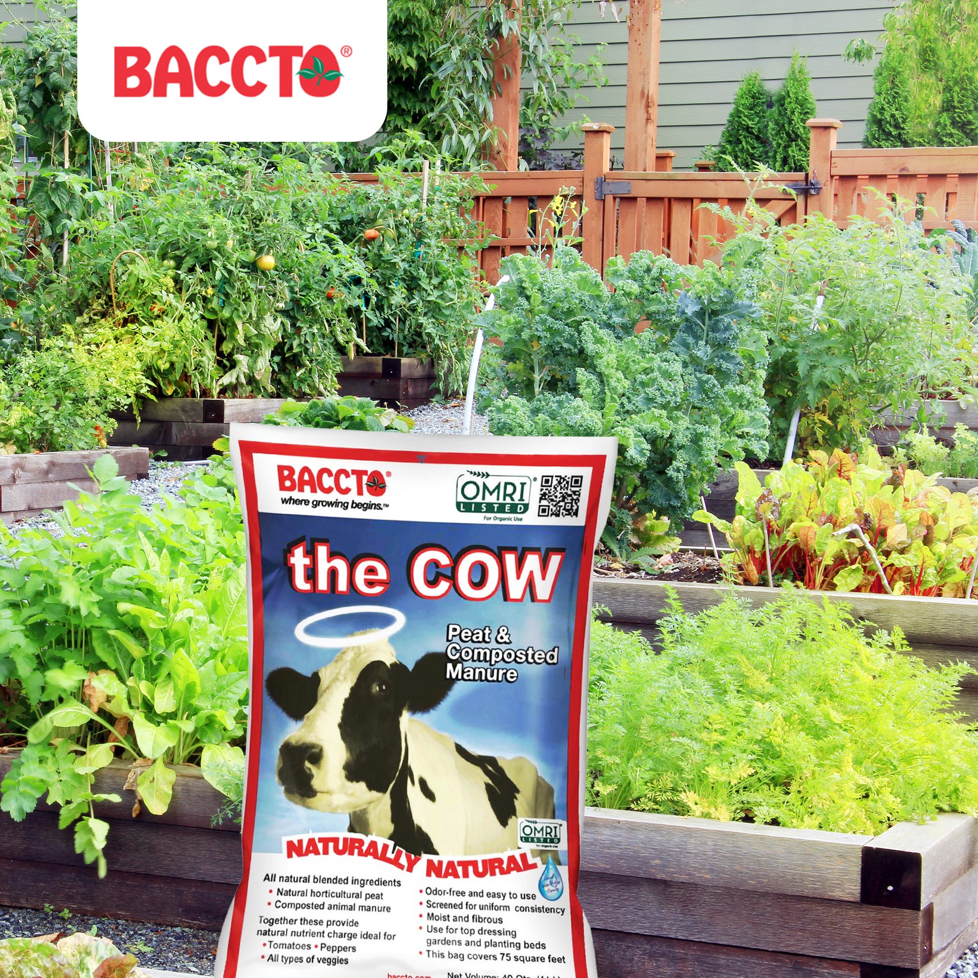 Baccto Wholly Cow Horticulture Peat & Composted Manure, 40 Quarts (6 Pack)