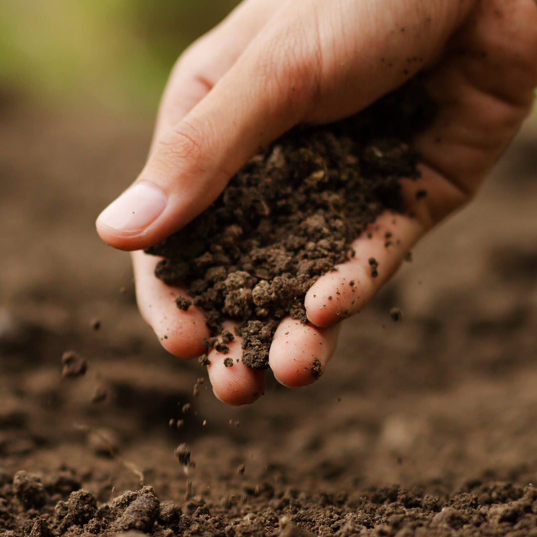 Michigan Peat 5720 Garden Magic General Purpose Potting Soil Mix, 20 Pound Bag - VMInnovations