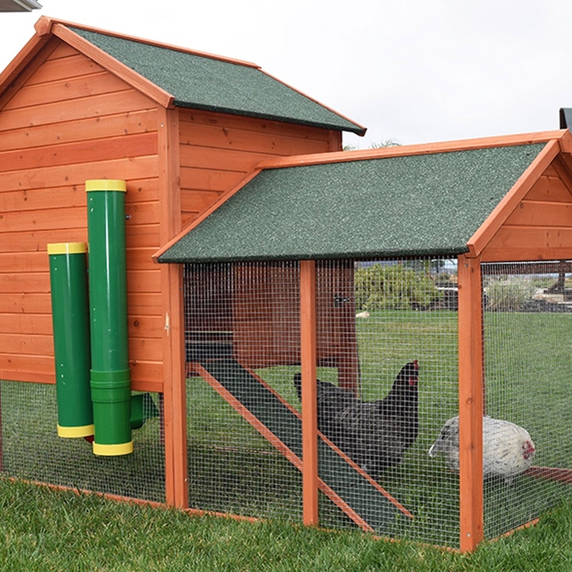 Rugged Ranch High End Hen Elevated 2 Gallon Poultry Waterer and 10 Pound Feeder