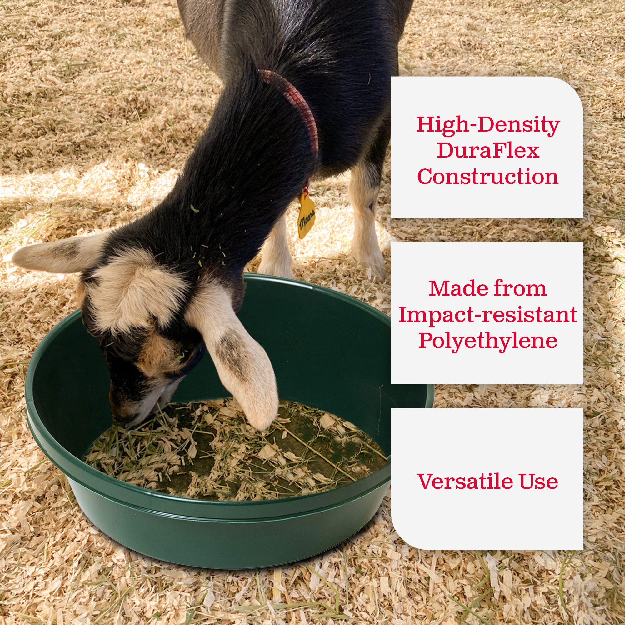 Little Giant 3 Gal Plastic Flat Farm Livestock Feed Utility Pan Green (Open Box) - VMInnovations