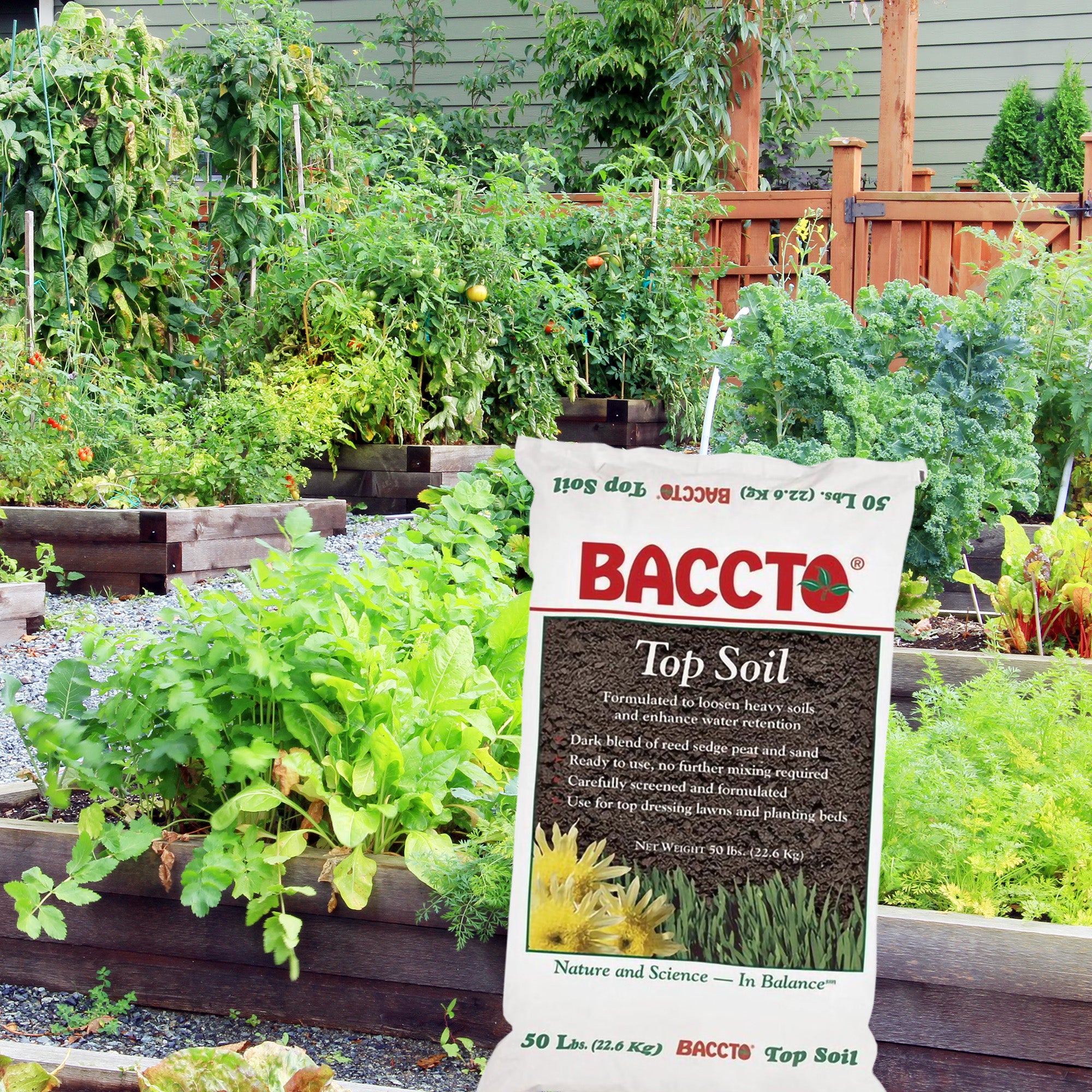 Michigan Peat 1550P Baccto Top Soil with Reed Sedge, & Sand, 50 Pounds (2 Pack) - VMInnovations