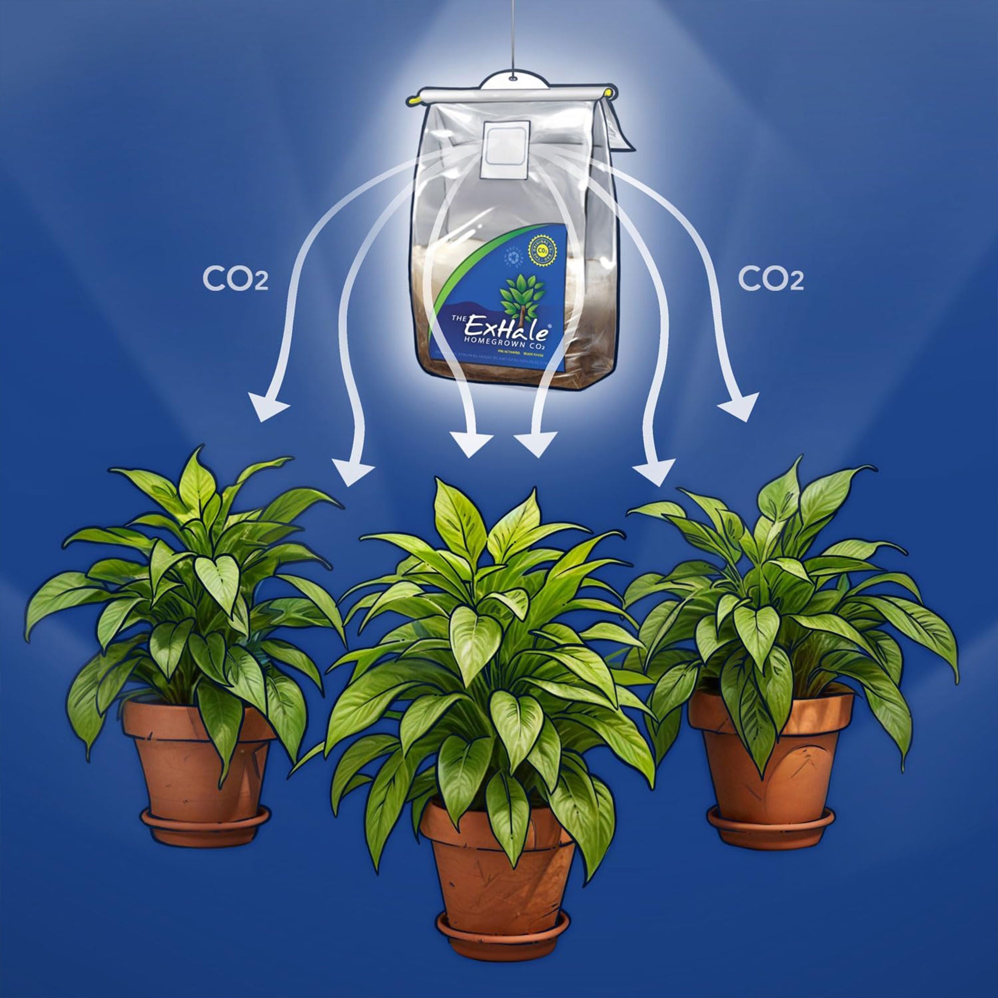ExHale XL EX50002 Self Activated 6 Month 288 Cubic Foot Gardening CO2 Grow Bag - VMInnovations