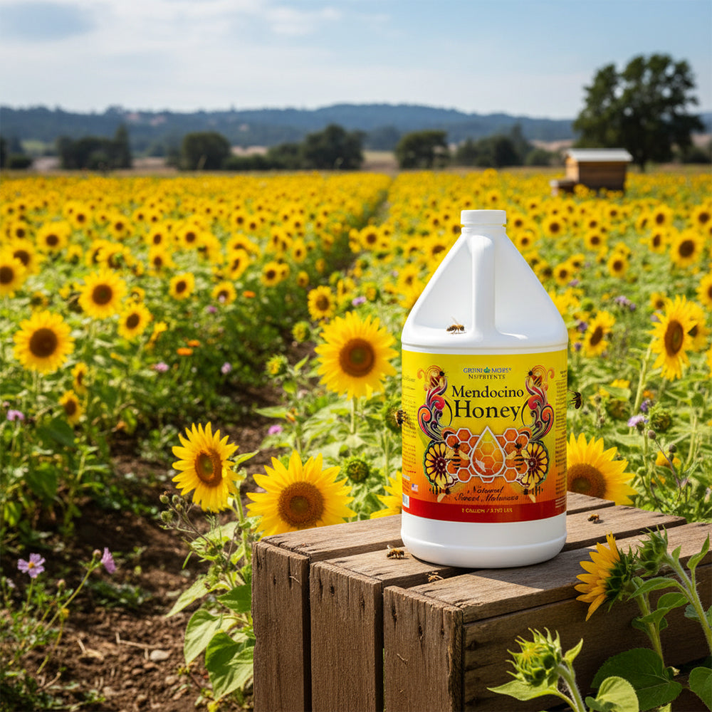 Grow More GR17537 Mendocino Honey Supplement for Hydroponic Gardens, 1 Gallon - VMInnovations