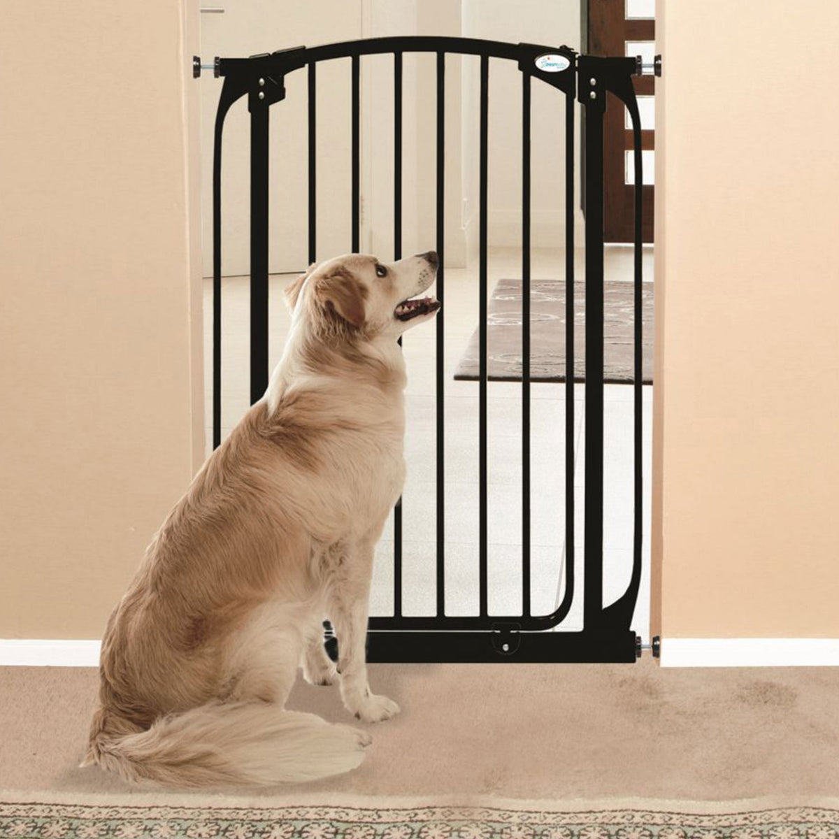 Dreambaby L782B Chelsea 28 to 42.5 Inch Auto-Close Baby Pet Safety Gate, Black - VMInnovations
