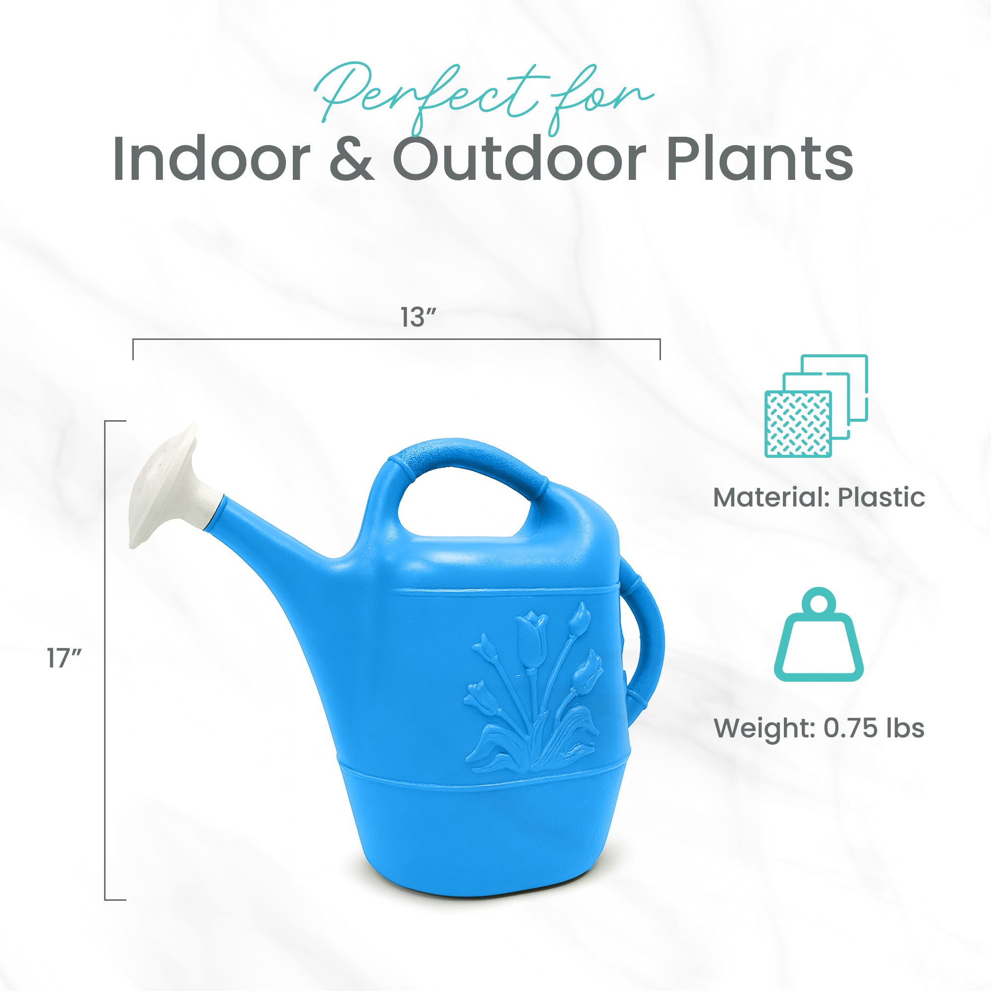 Union Products 63066 Plants & Garden 2 Gal Plastic Watering Can, Caribbean Blue