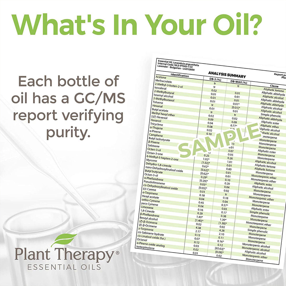 Plant Therapy 10 mL Essential Oil Blends, Set of 6, 1/3 Oz, KidSafe Starter (Used)