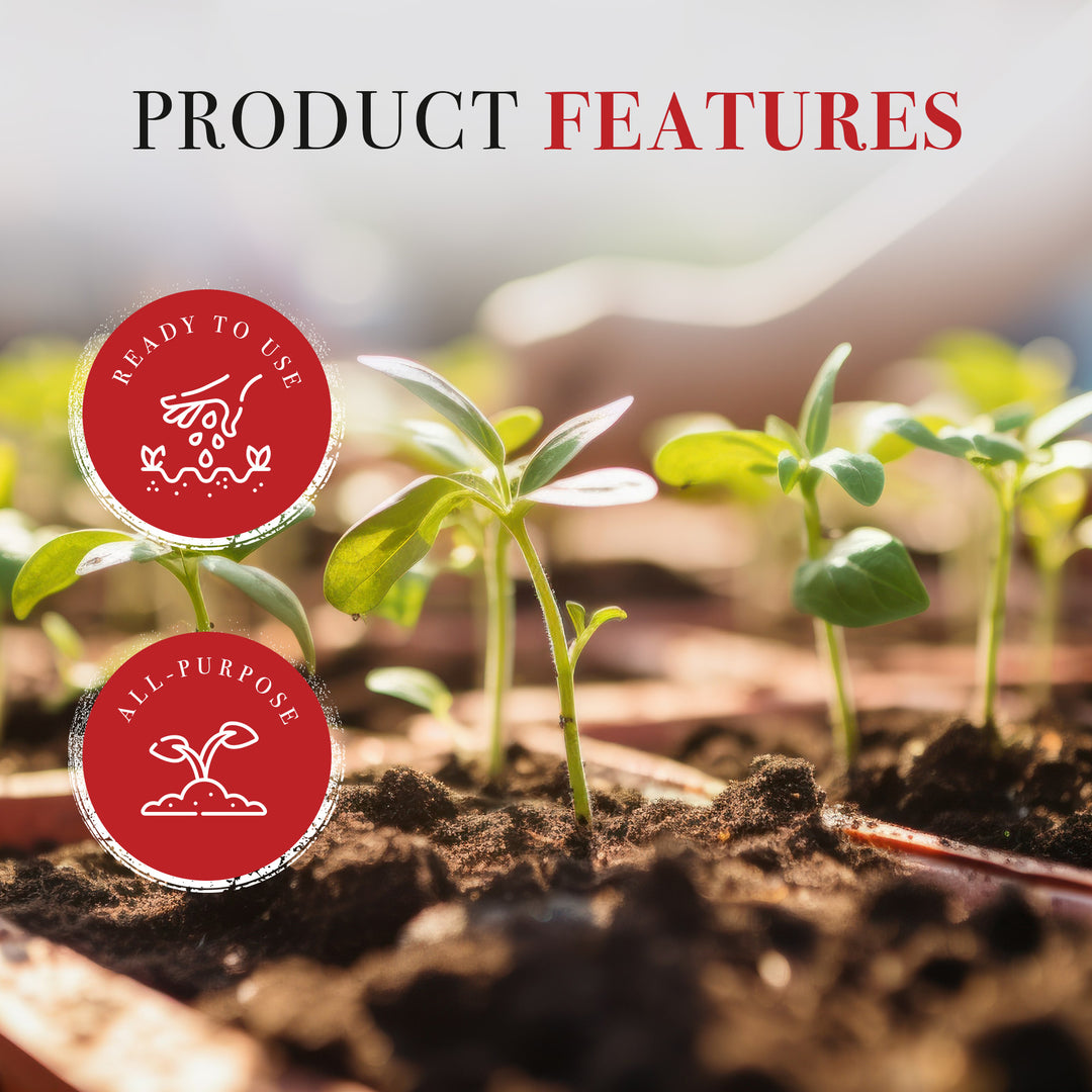 Michigan Peat Baccto Topsoil with Reed Sedge, Peat and Sand 50lbs (6 Pack)