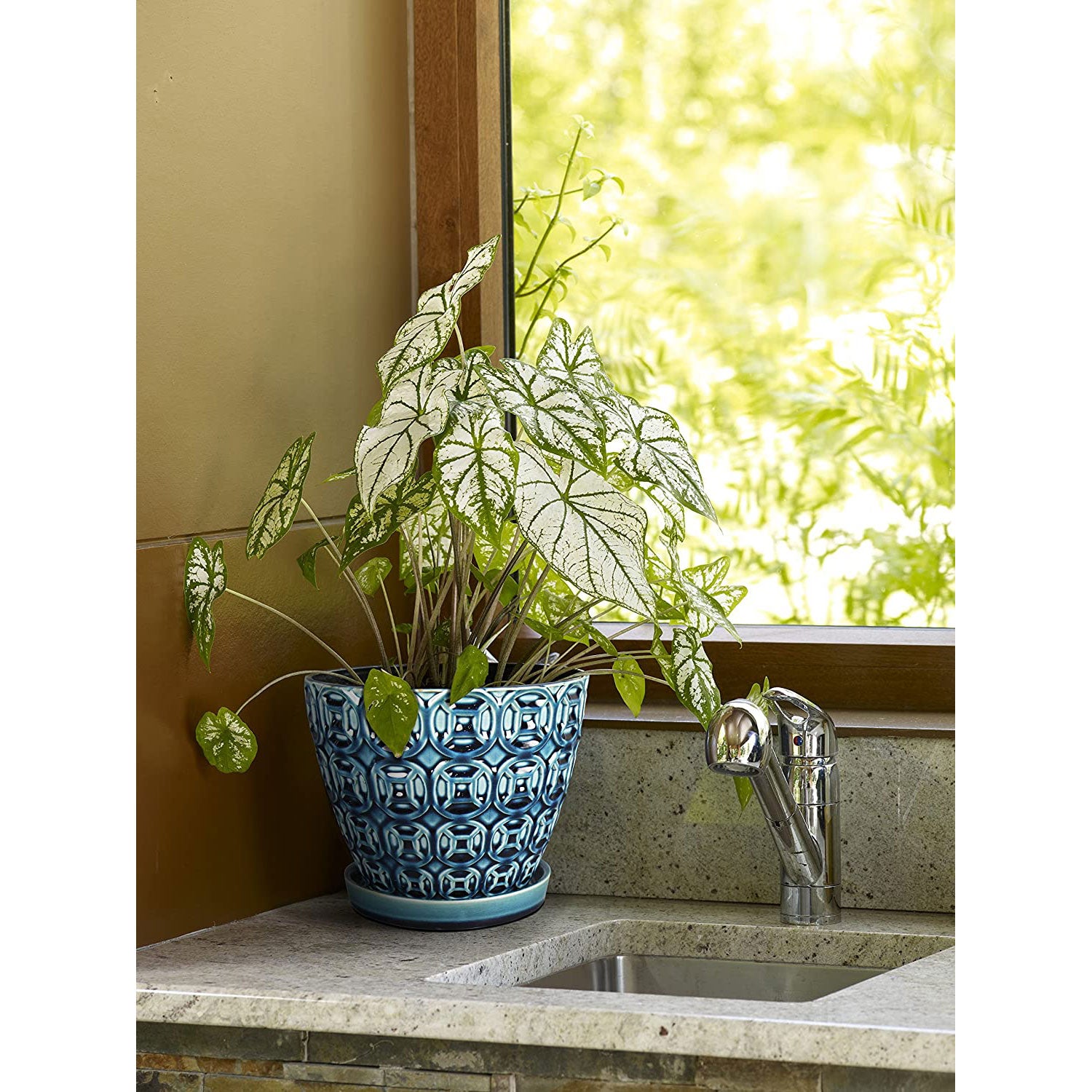 Southern Patio 8 Inch Ceramic Clay Mayer Planter and Saucer, Seafoam (2 Pack) (Refurbished)