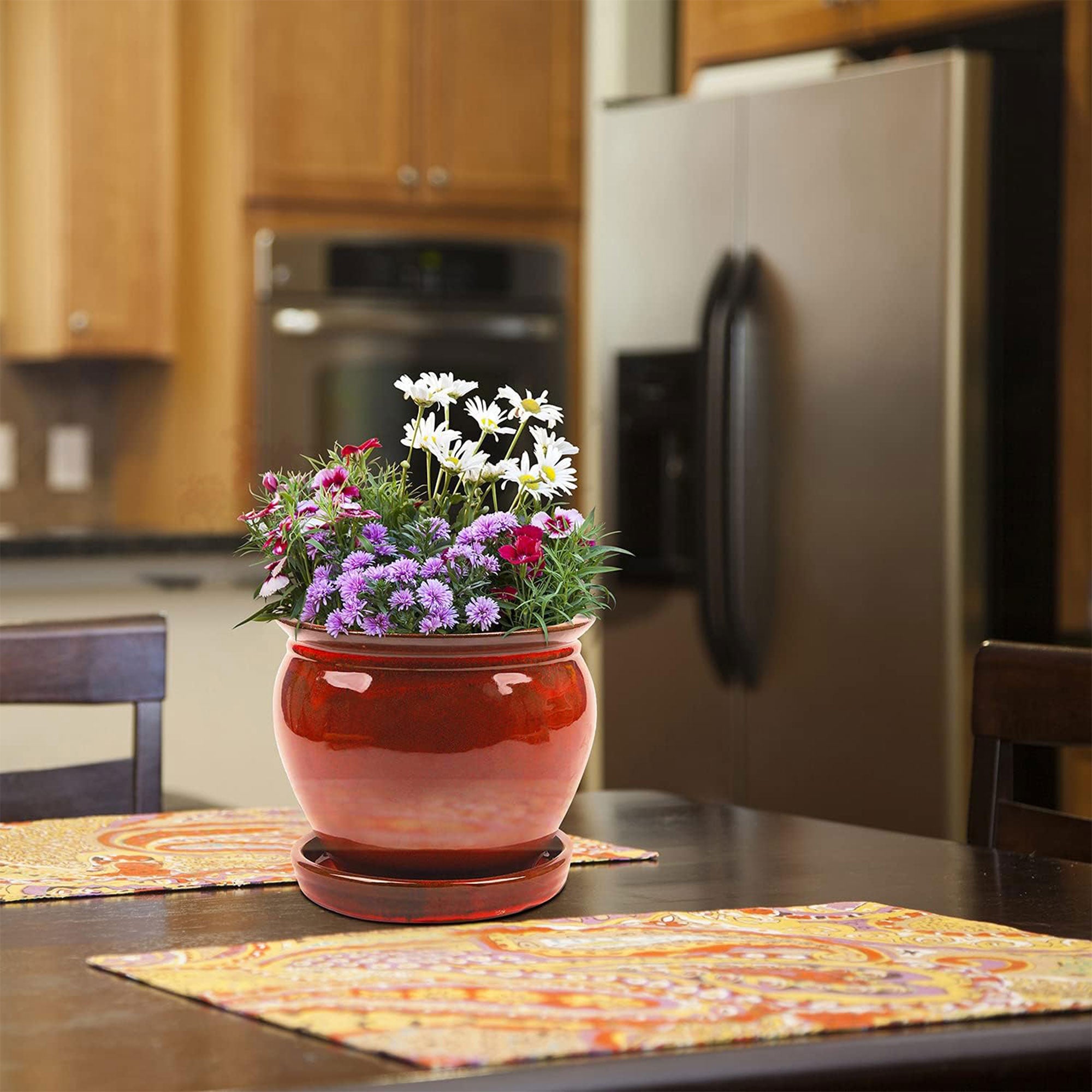 Southern Patio Wisteria 8 Inch Diameter Ceramic Pot w/ Saucer, Red (Open Box) - VMInnovations