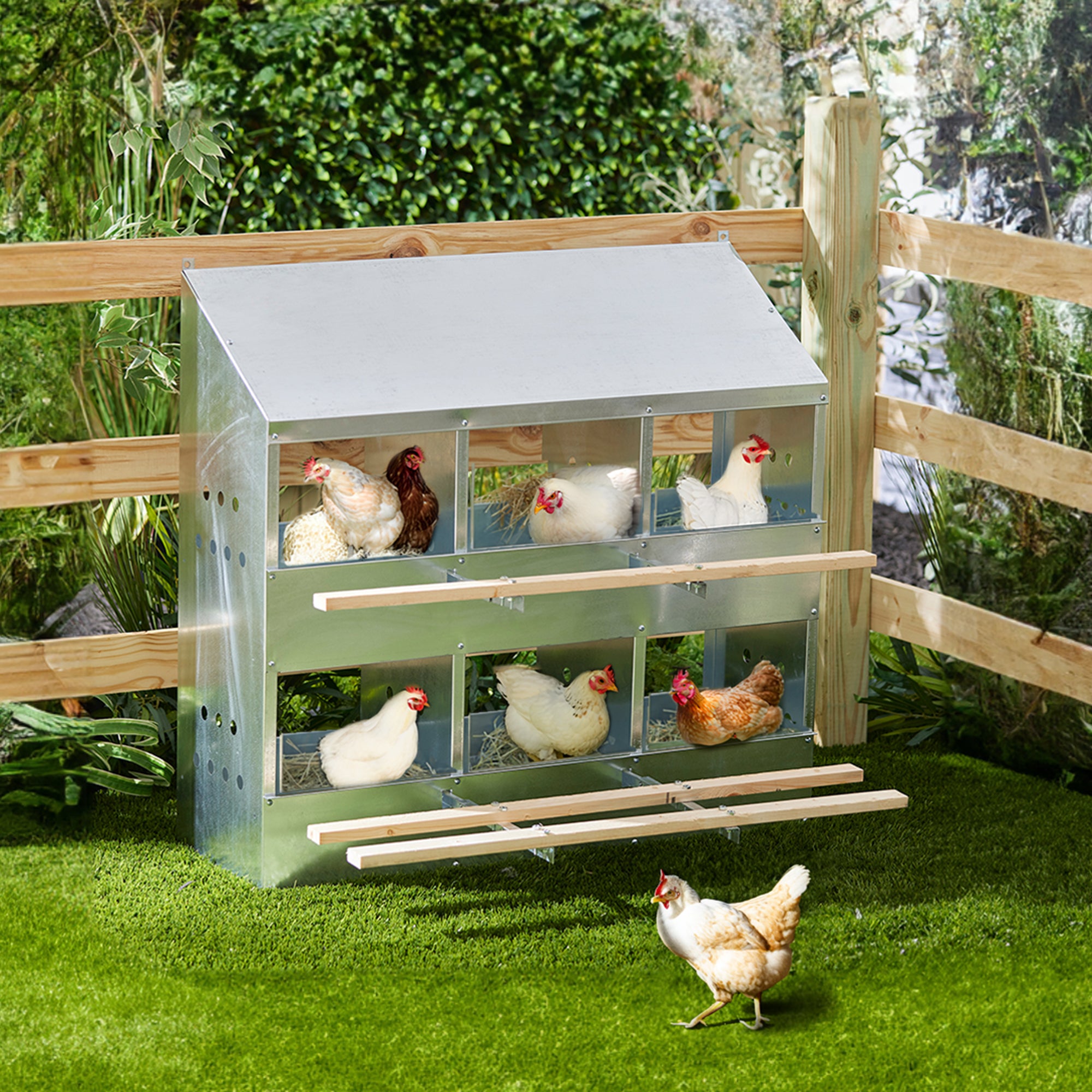 Brower Galvanized Steel 6 Hole 30 Bird Poultry Nest Brooding Box (For Parts) - VMInnovations