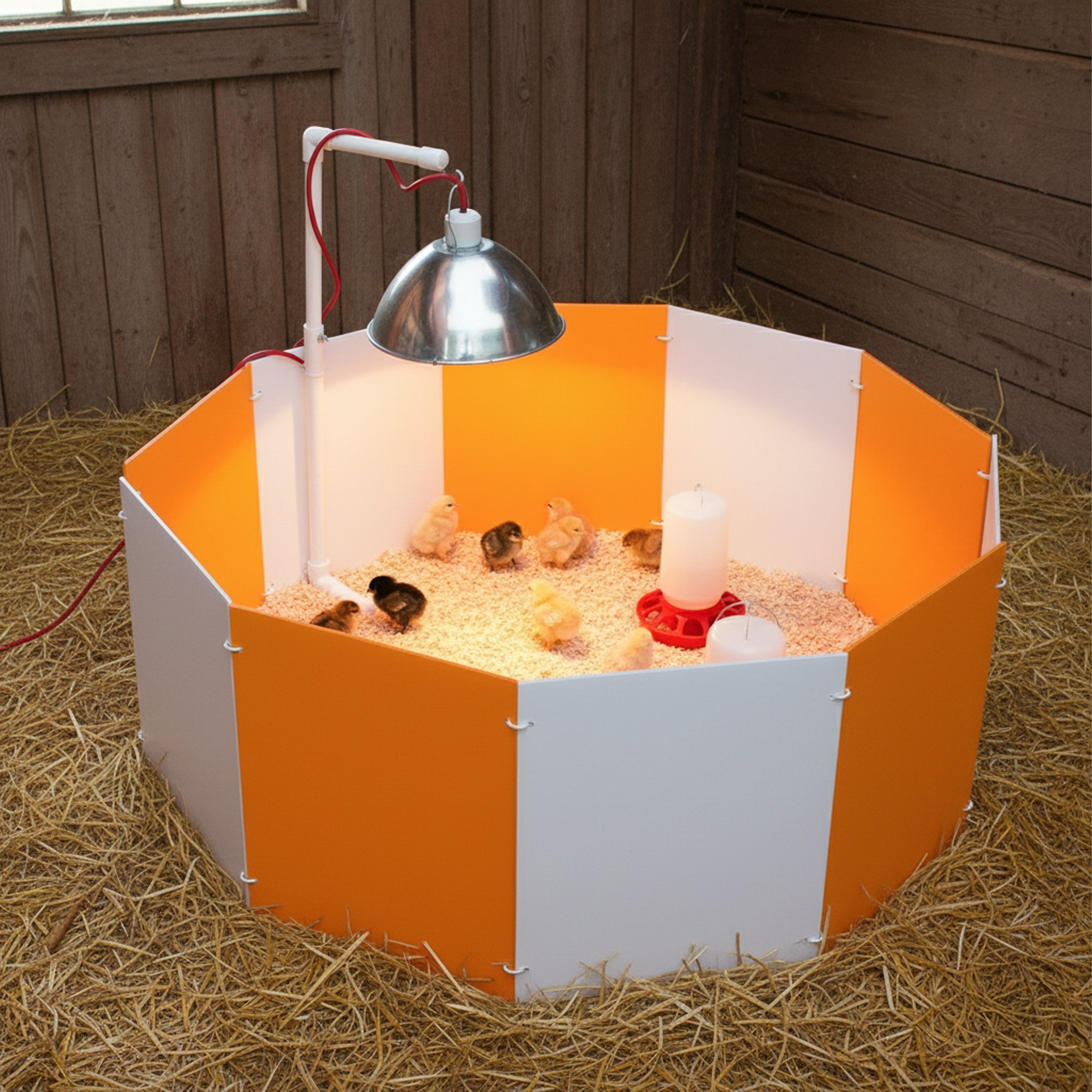 Farm Innovators 3700 Baby Chick Starter Home Kit with Adjustable Lamp Hanger - VMInnovations