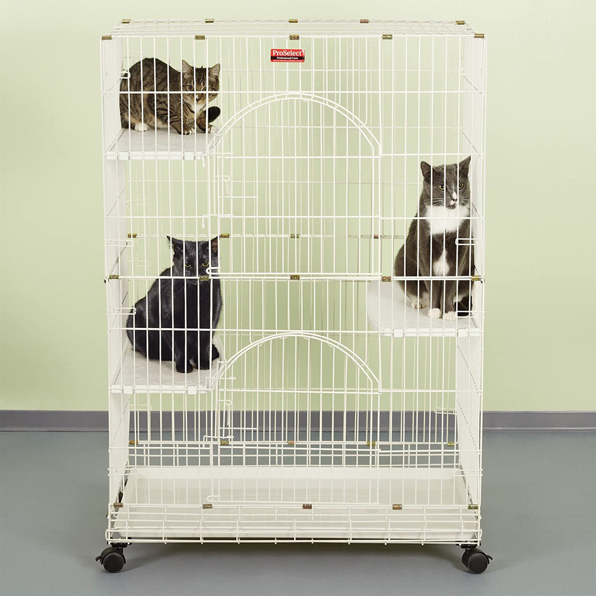 ProSelect 48" Foldable Cat Cage w/ Dual Doors & Adjustable Perches (Open Box)