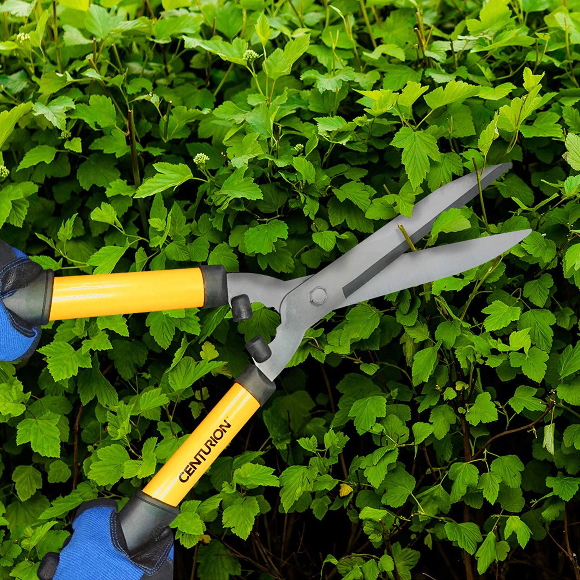 CENTURION 511 8 Inch Precision Steel Blades Hedge Shears Non-Slip Grips (Used) - VMInnovations