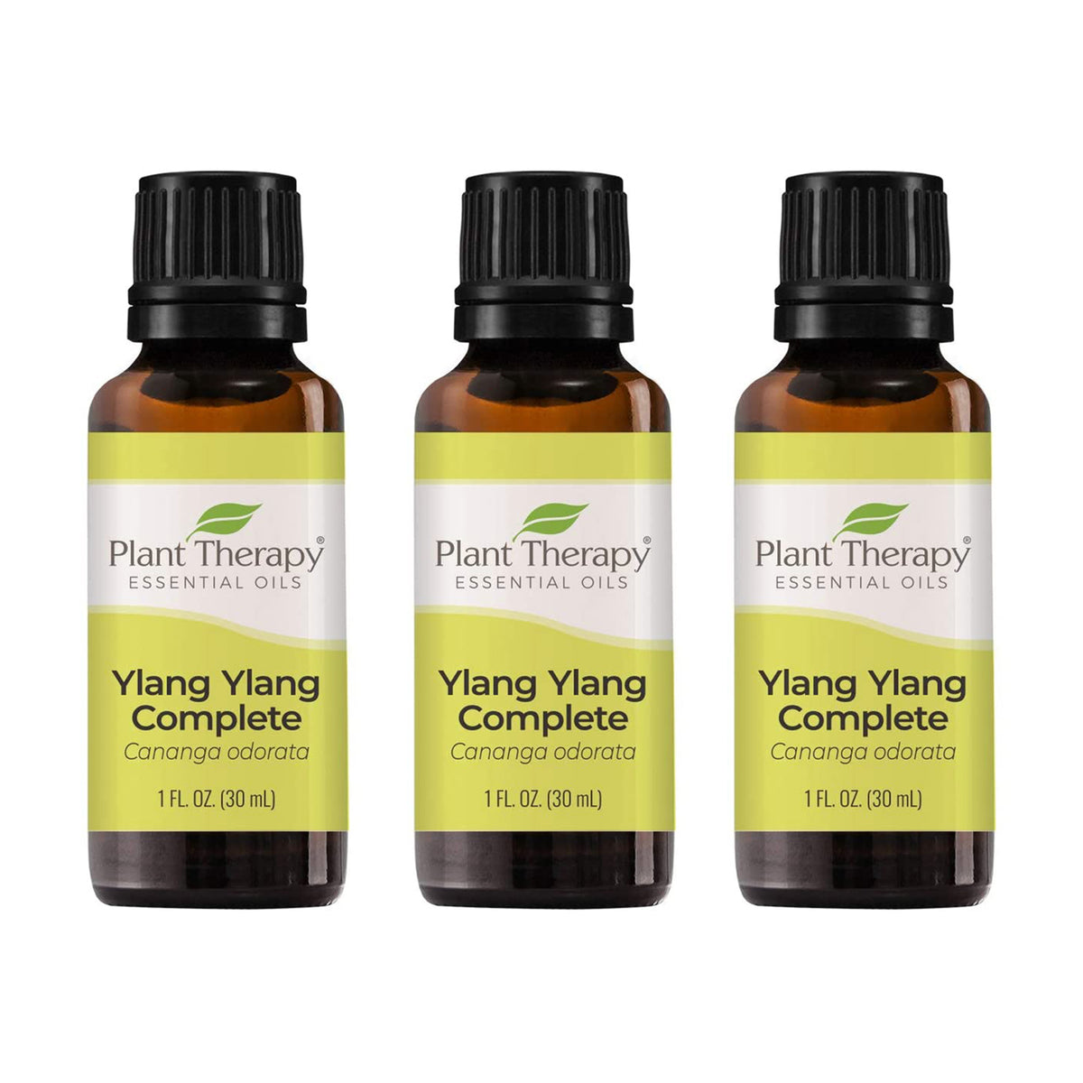 Plant Therapy Diffusible 30mL Complete Essential Oil, 1 Oz, Ylang Ylang (3 Pack)
