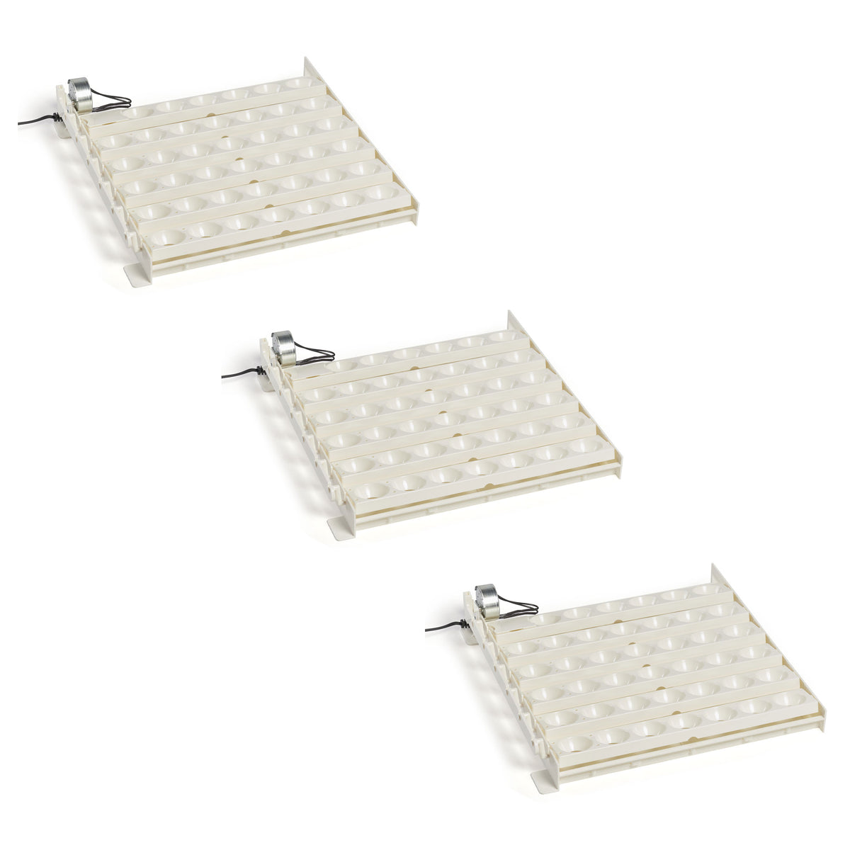 Farm Innovators 3200 Automatic 41 Spot Egg Turner for Improved Hatching (3 Pack)