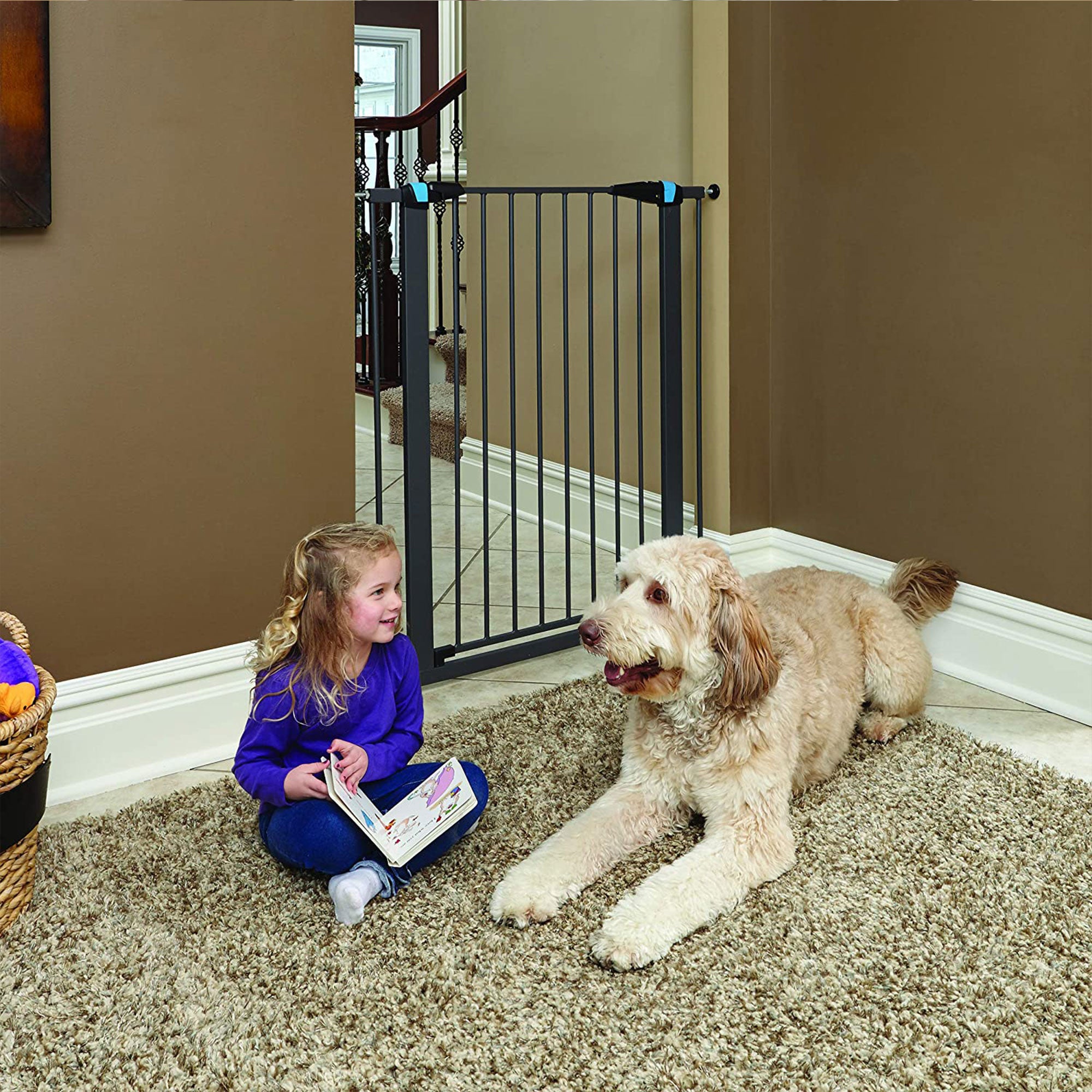 MidWest Homes For Pets 39 Inch Tall Glow in the Dark Steel Walk Through Pet Gate