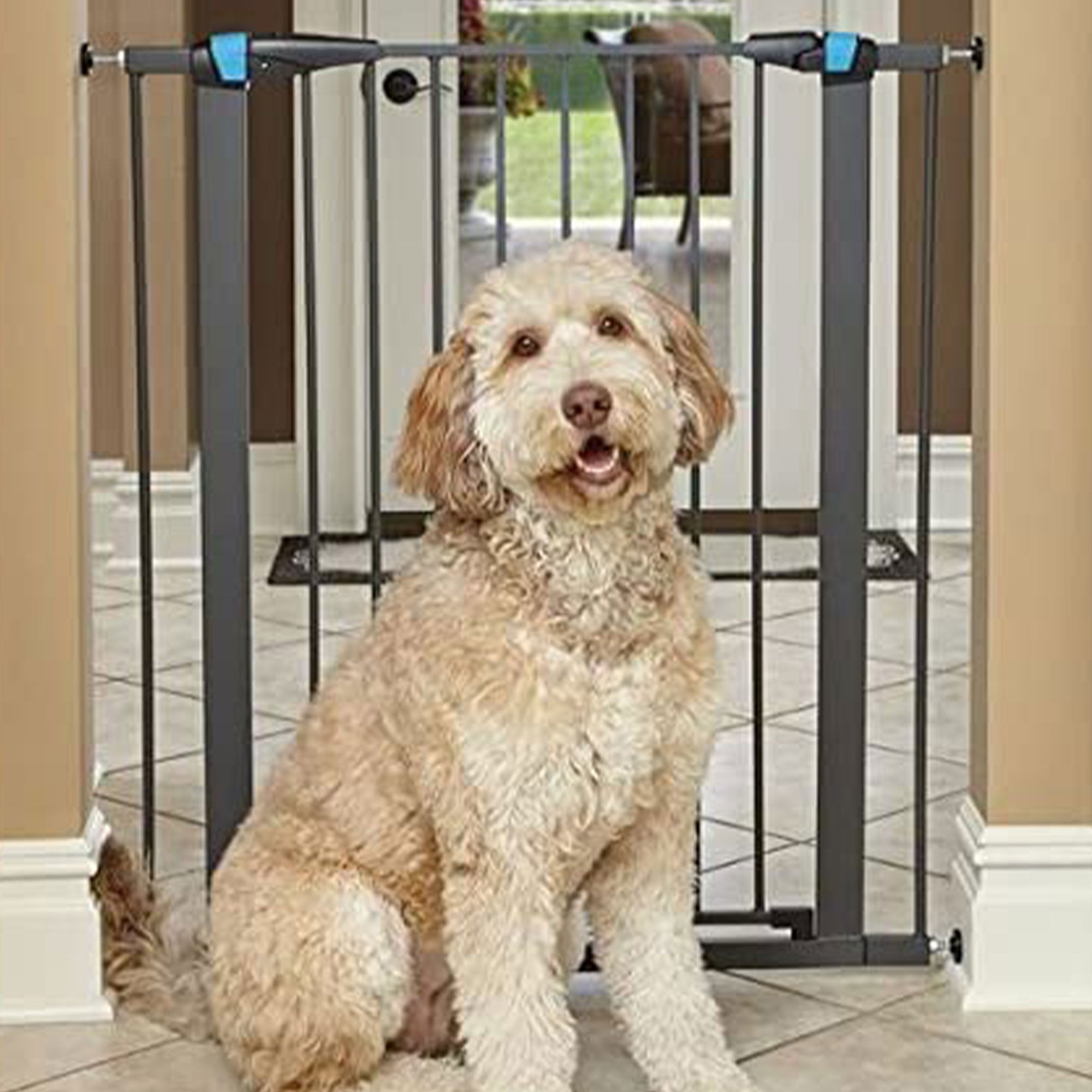 MidWest Homes For Pets 39 Inch Tall Glow in the Dark Steel Walk Through Pet Gate