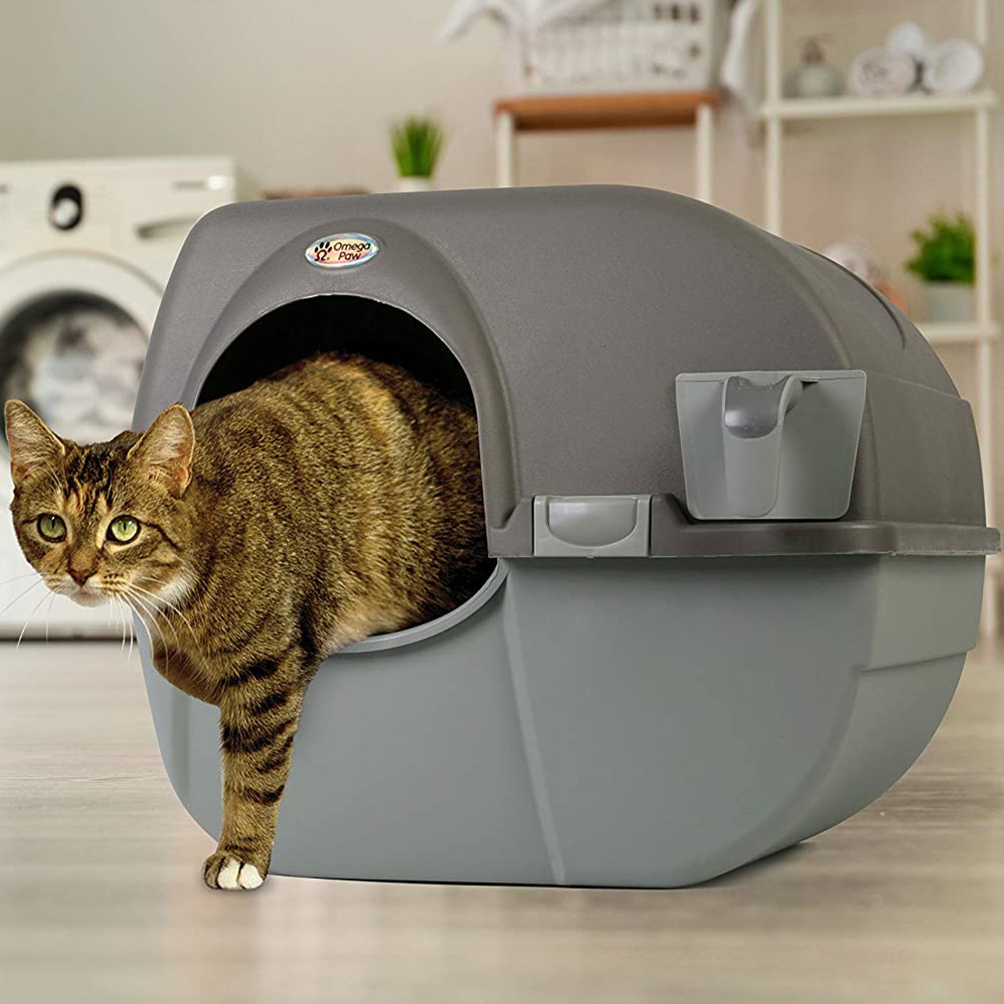 Omega Paw Roll 'n Clean Self Cleaning Litter Box for Regular Sized Cats, Pewter