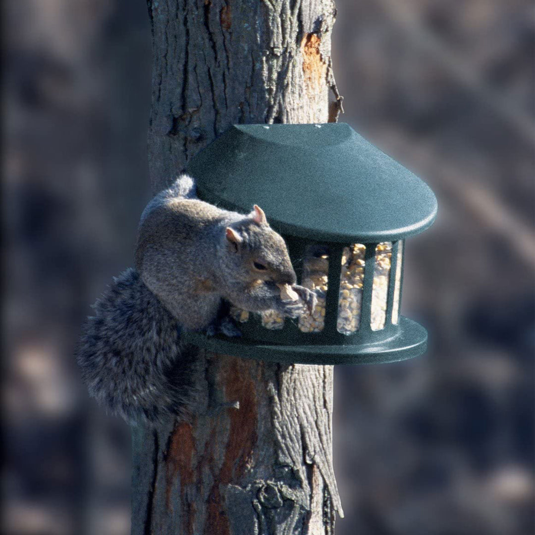 Woodlink Alloy Steel Hanging Squirrel Diner 2 Feeder for Gardens and Backyards - VMInnovations