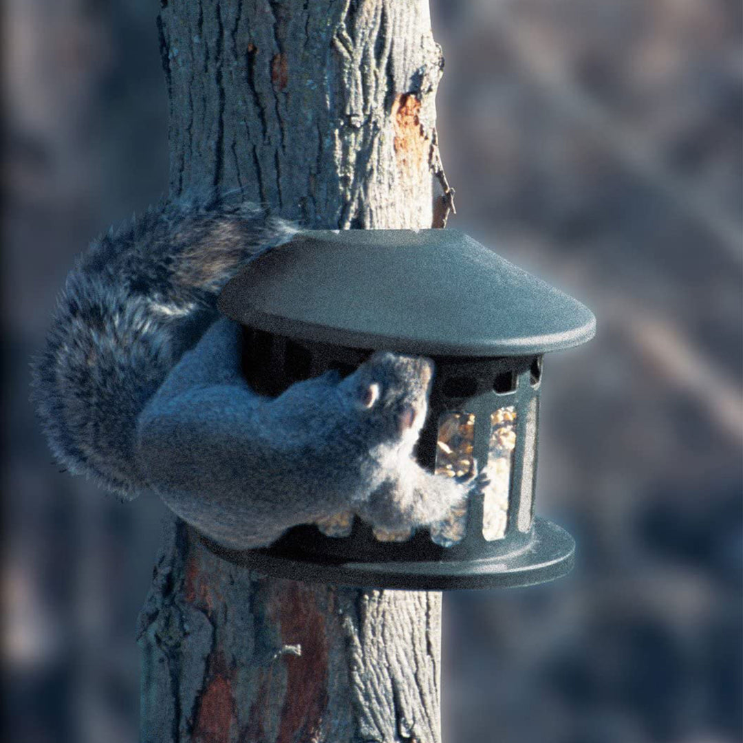Woodlink Alloy Steel Hanging Squirrel Diner 2 Feeder for Gardens and Backyards - VMInnovations