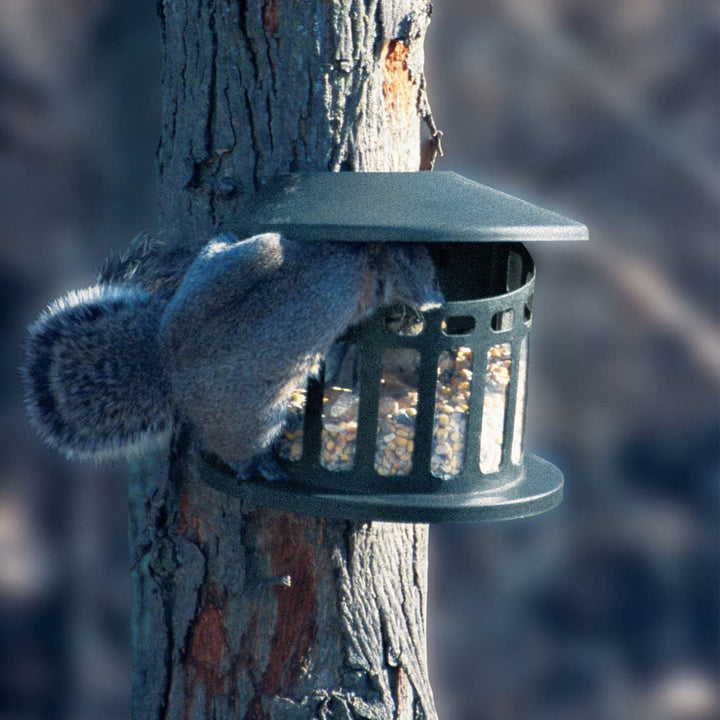 Woodlink Alloy Steel Hanging Squirrel Diner 2 Feeder for Gardens and Backyards - VMInnovations