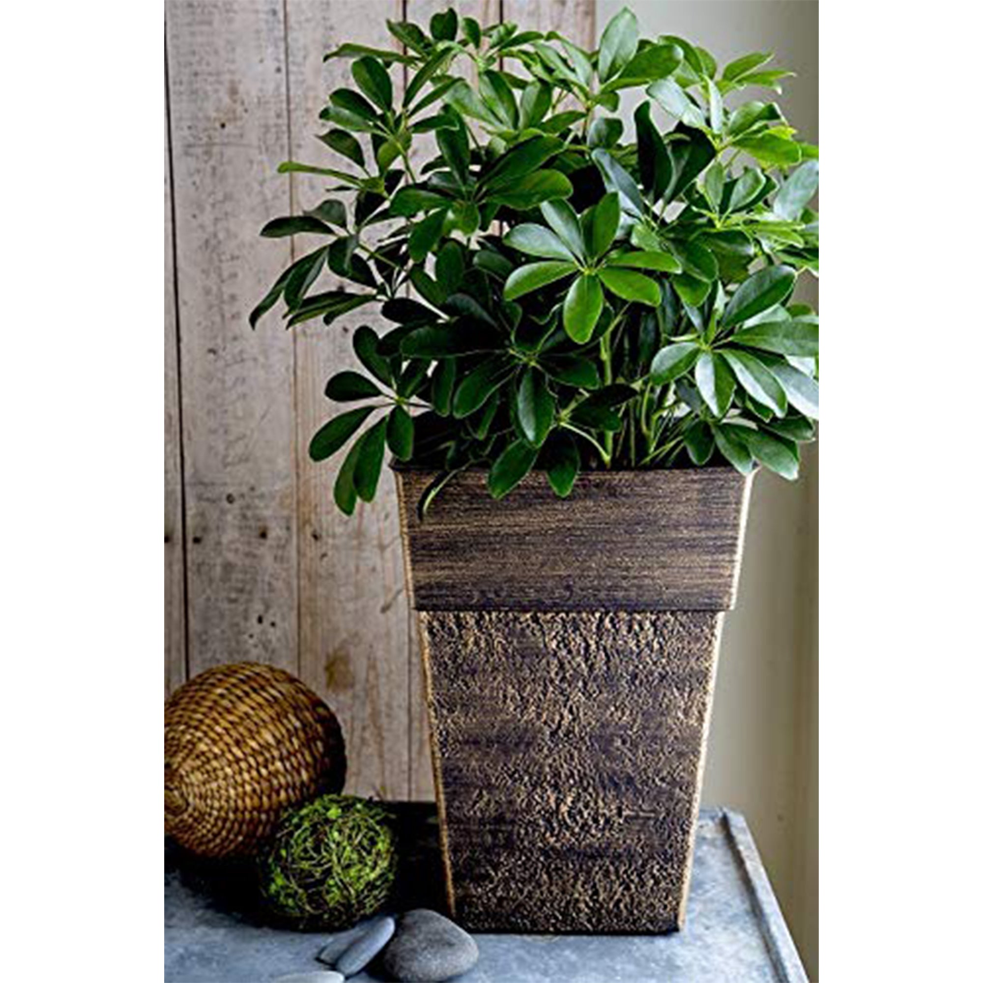 The HC Companies Avino 13 " Square Resin Flower Planter Pot, Bronze (Used)